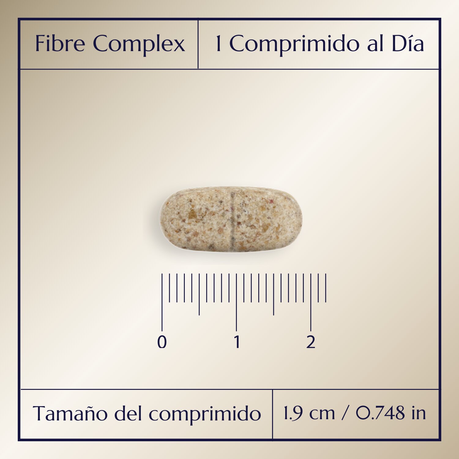 Fibre Complex_2