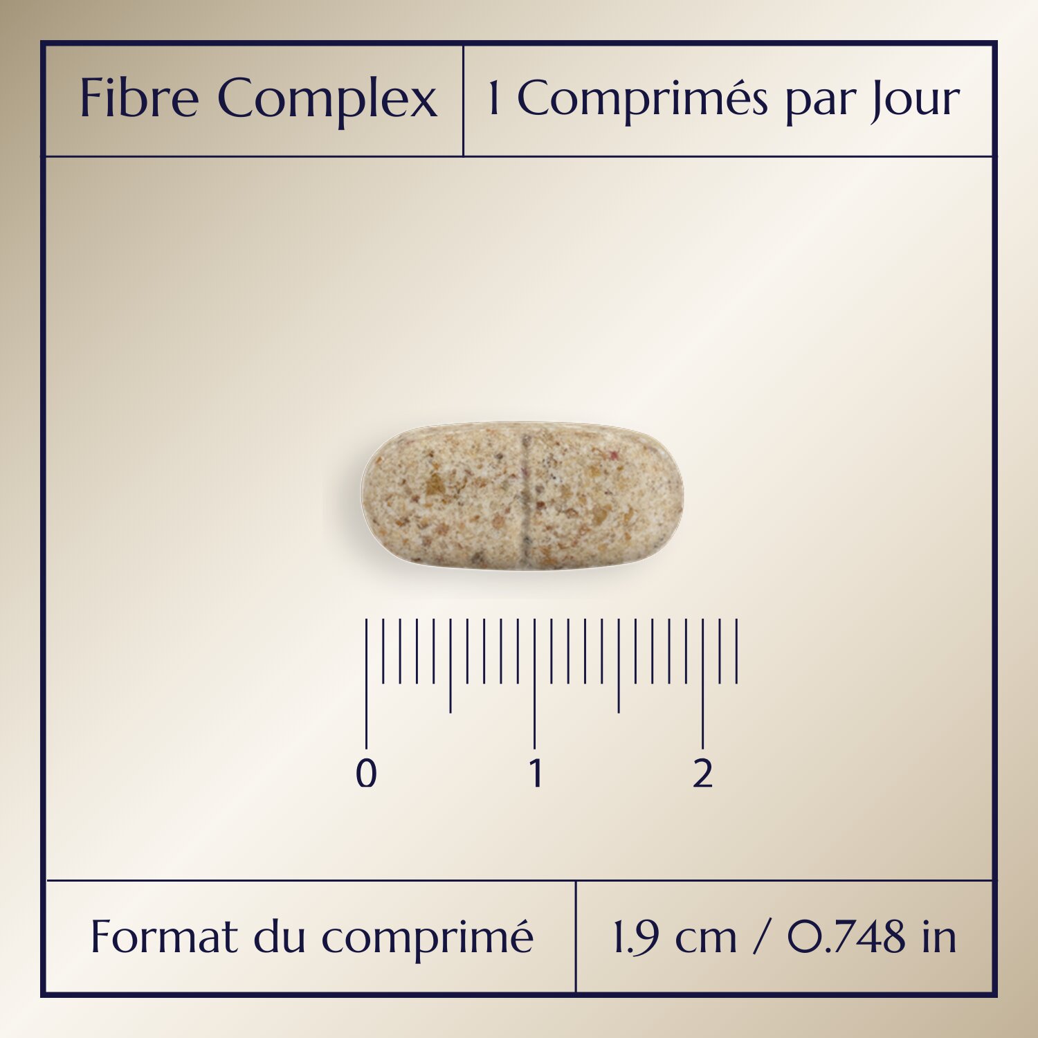 Fibre Complex_2
