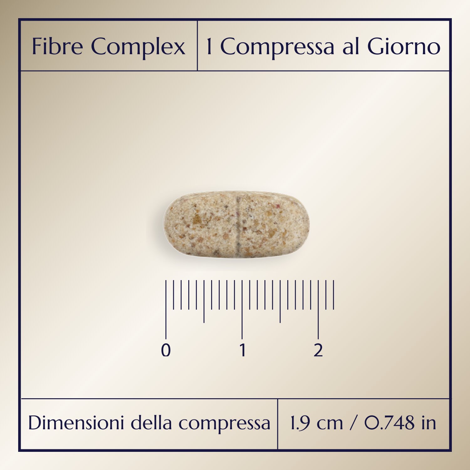Fibre Complex_2