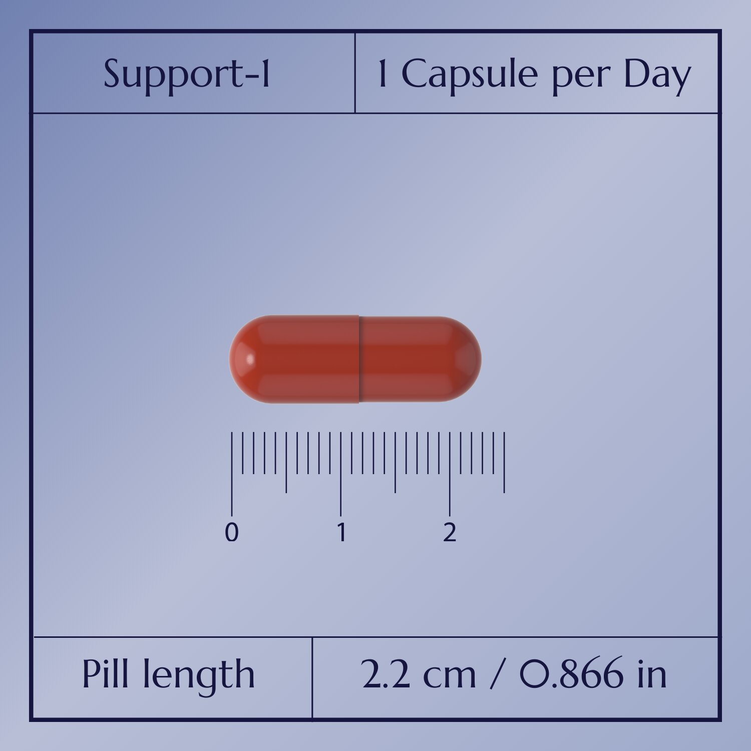 Support-1 Multivitamin_4