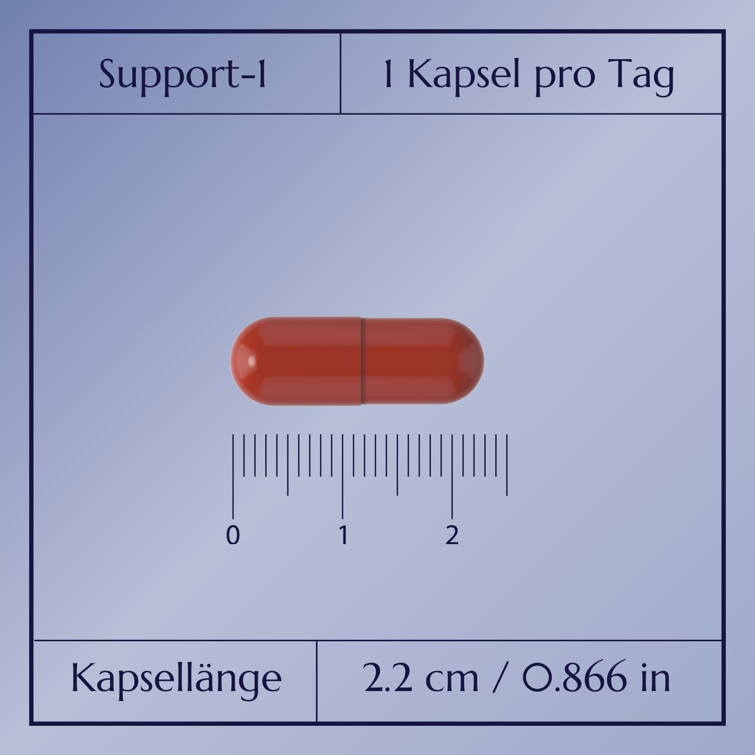 Support-1 Multivitaminpräparat_4