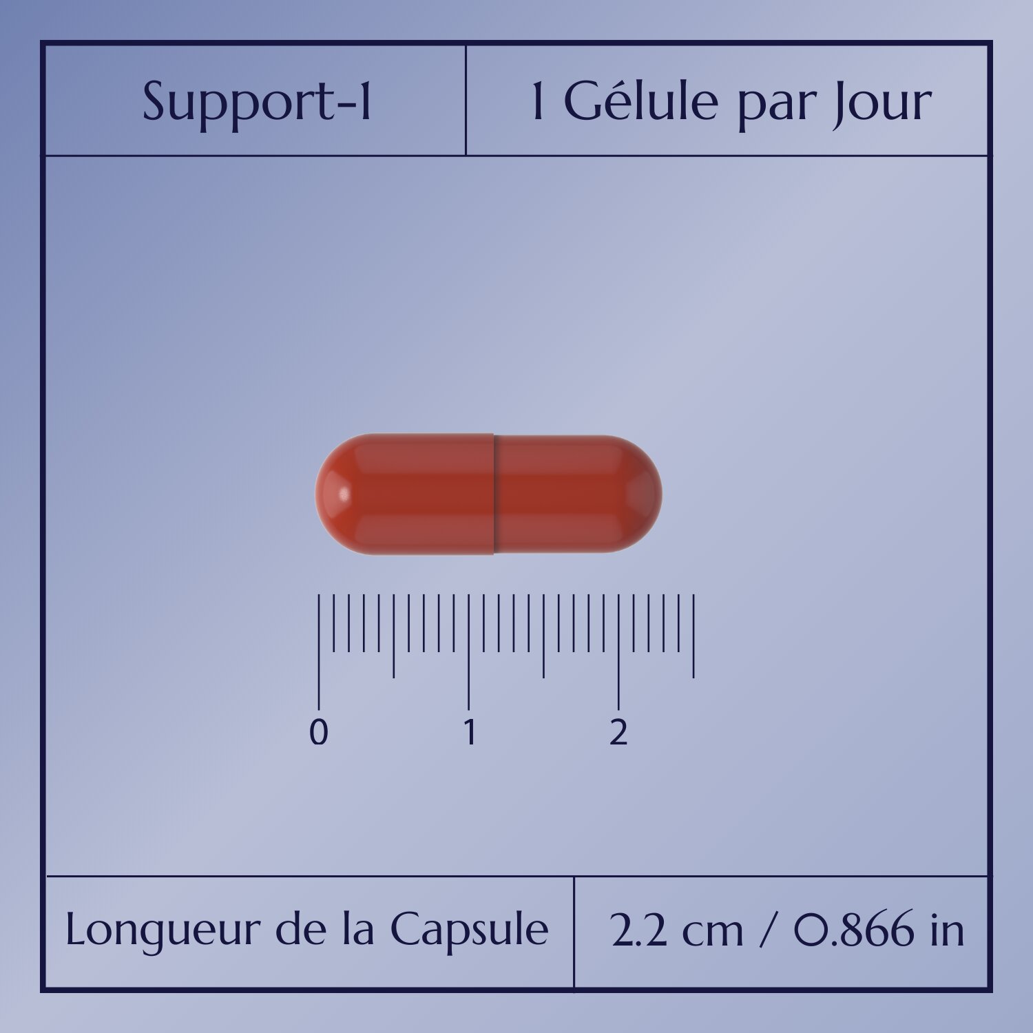 Support-1 multivitamine_4