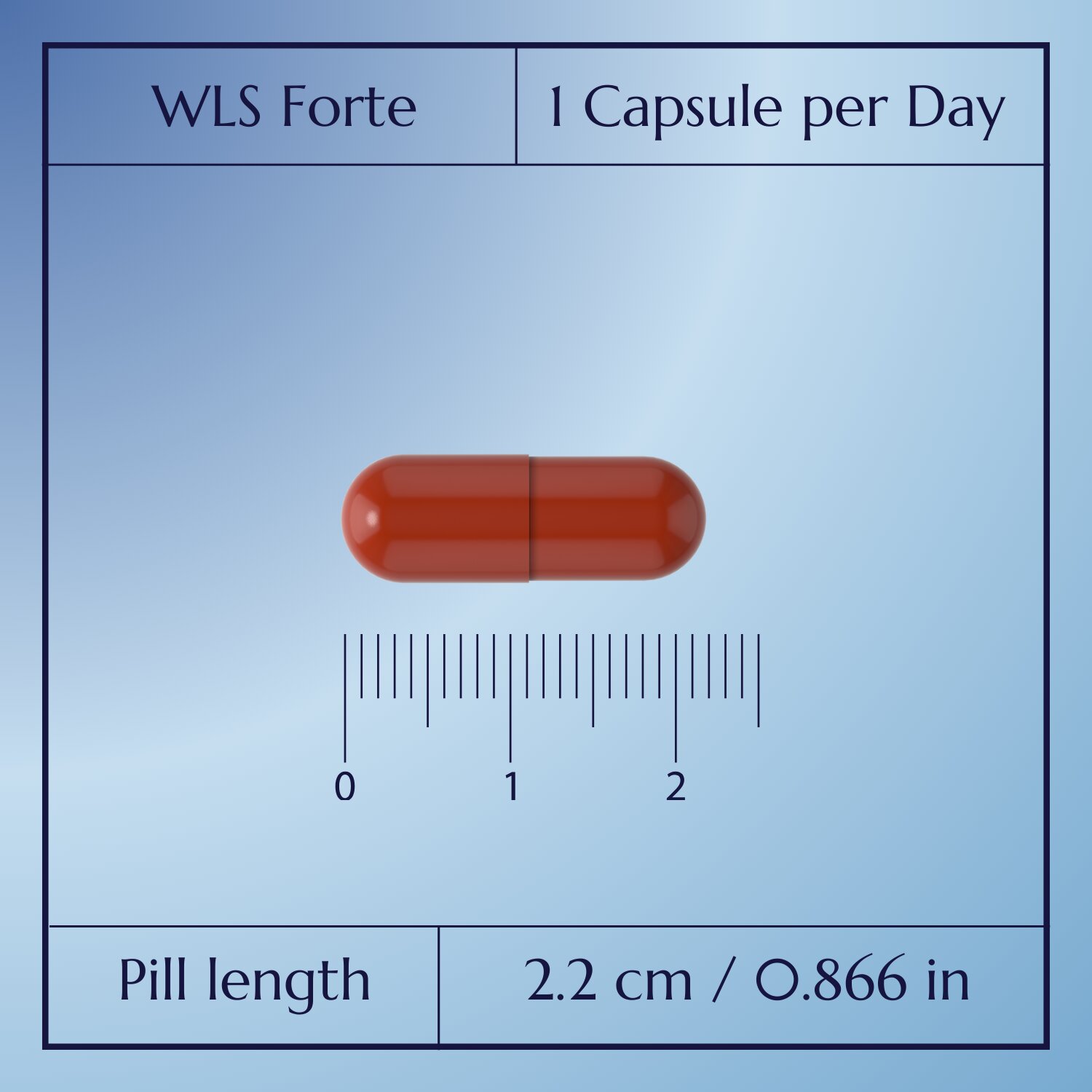 WLS Forte Multivitamin_4