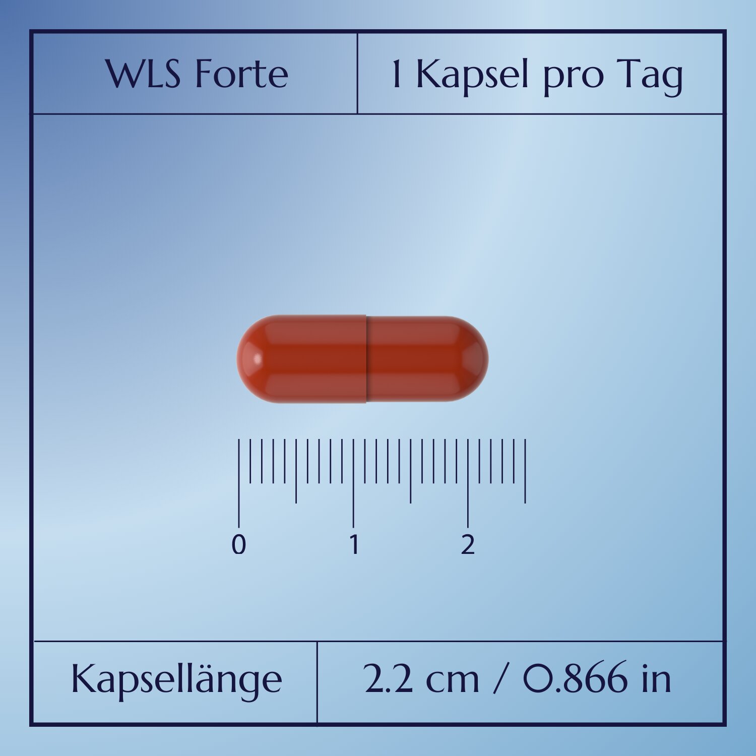 WLS Forte_4