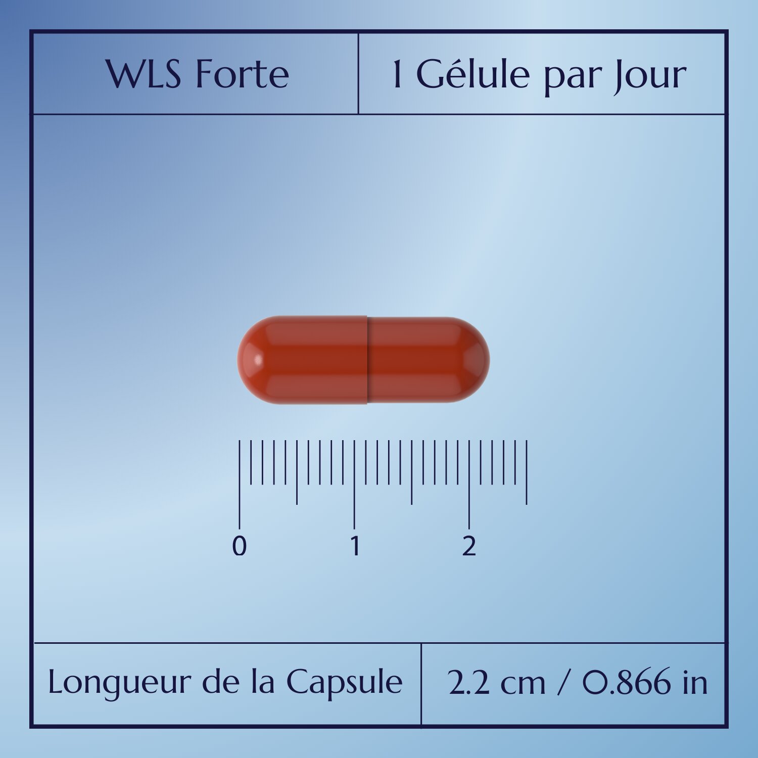 WLS Forte_4