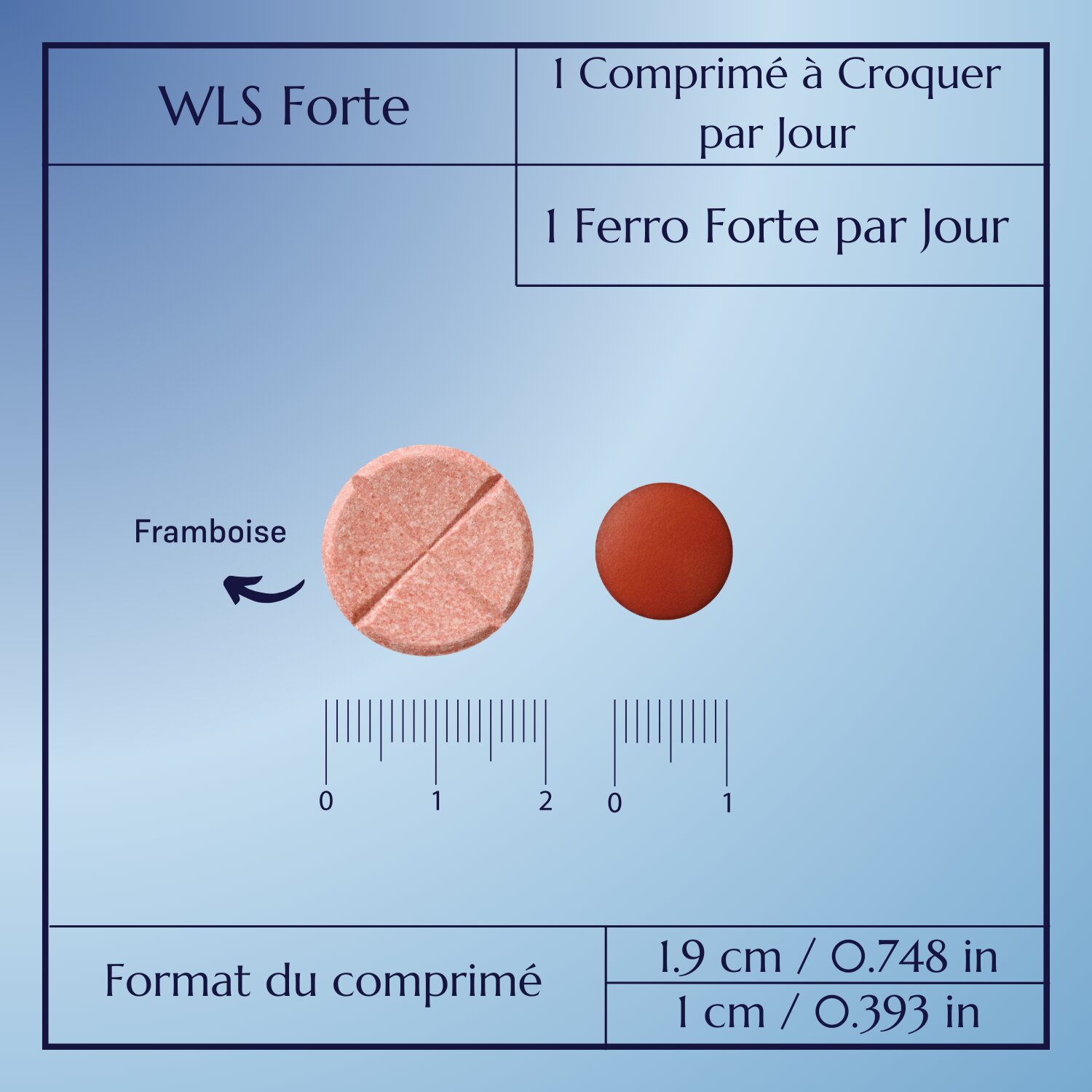 WLS Forte_7