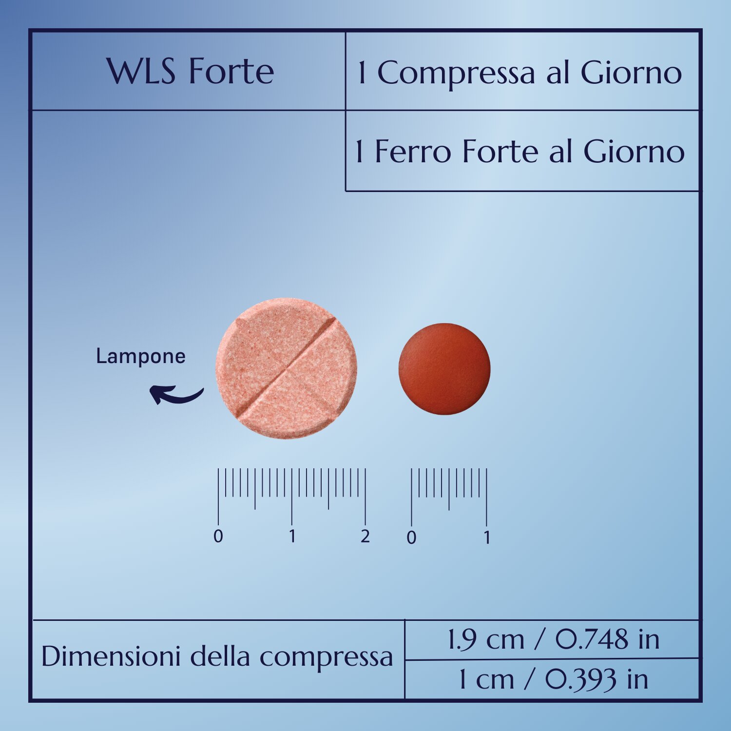 WLS Forte_7