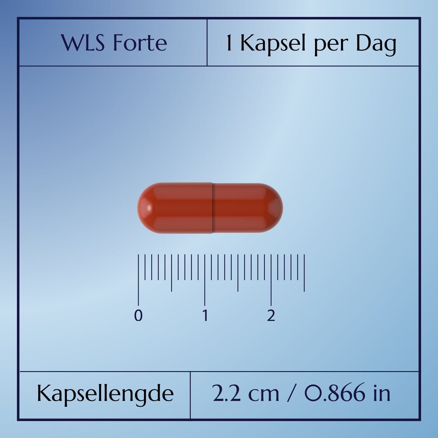 WLS Forte_4