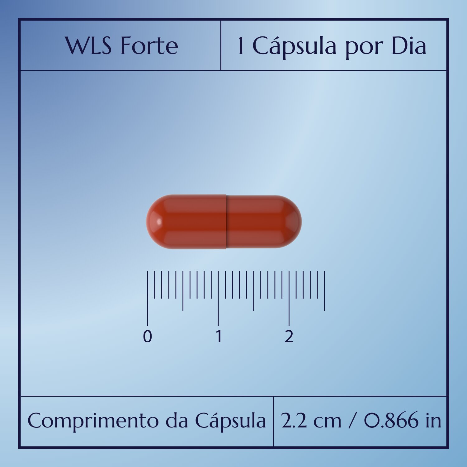 WLS Forte_4