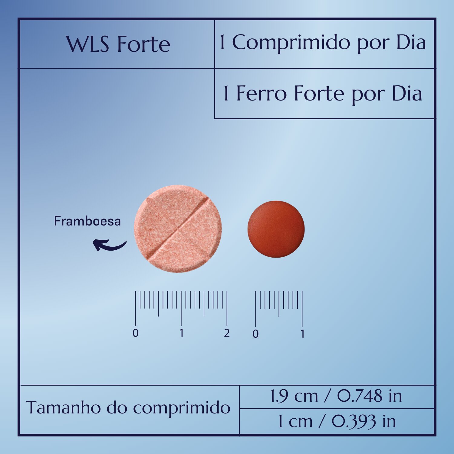 WLS Forte_7