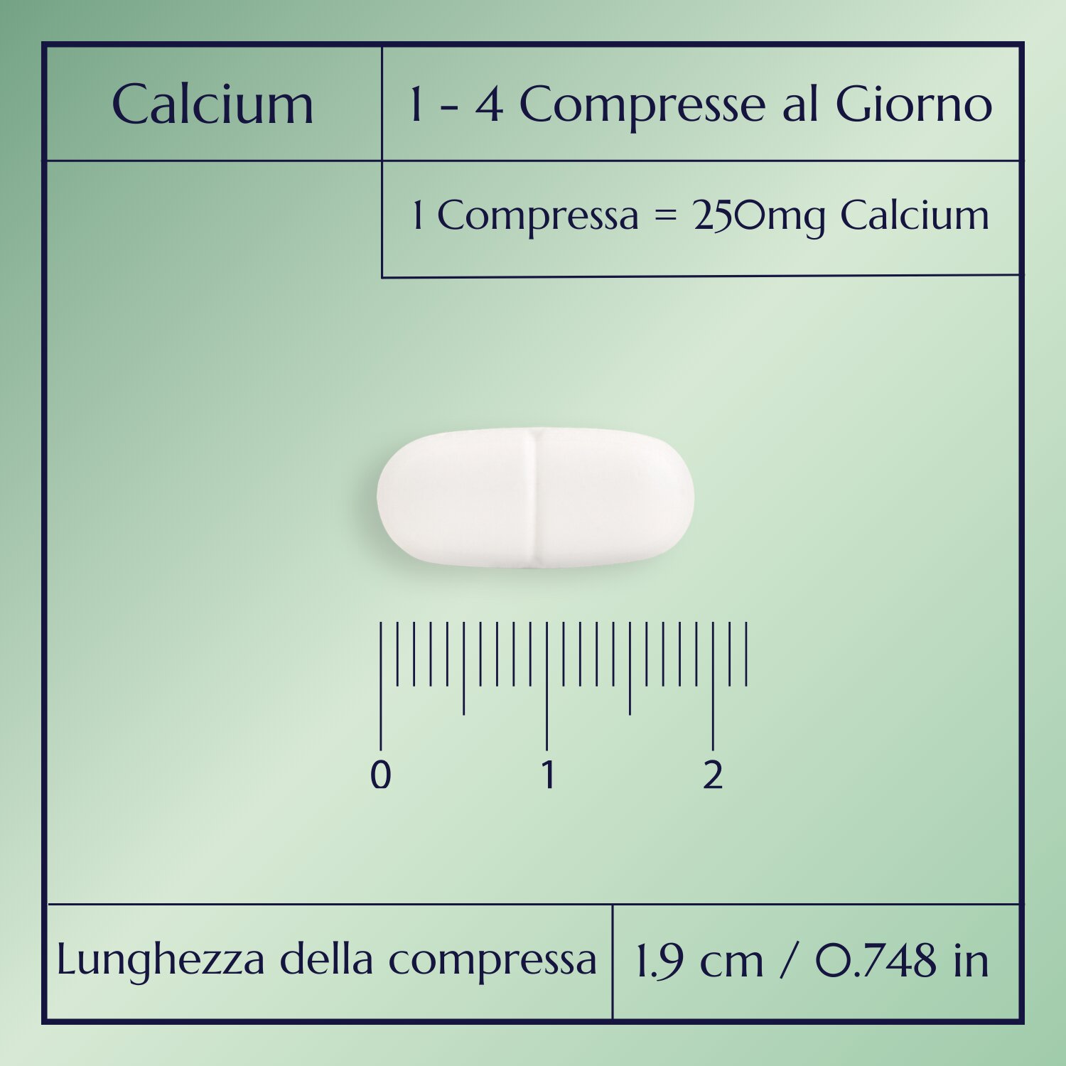 Calcium Plus_3