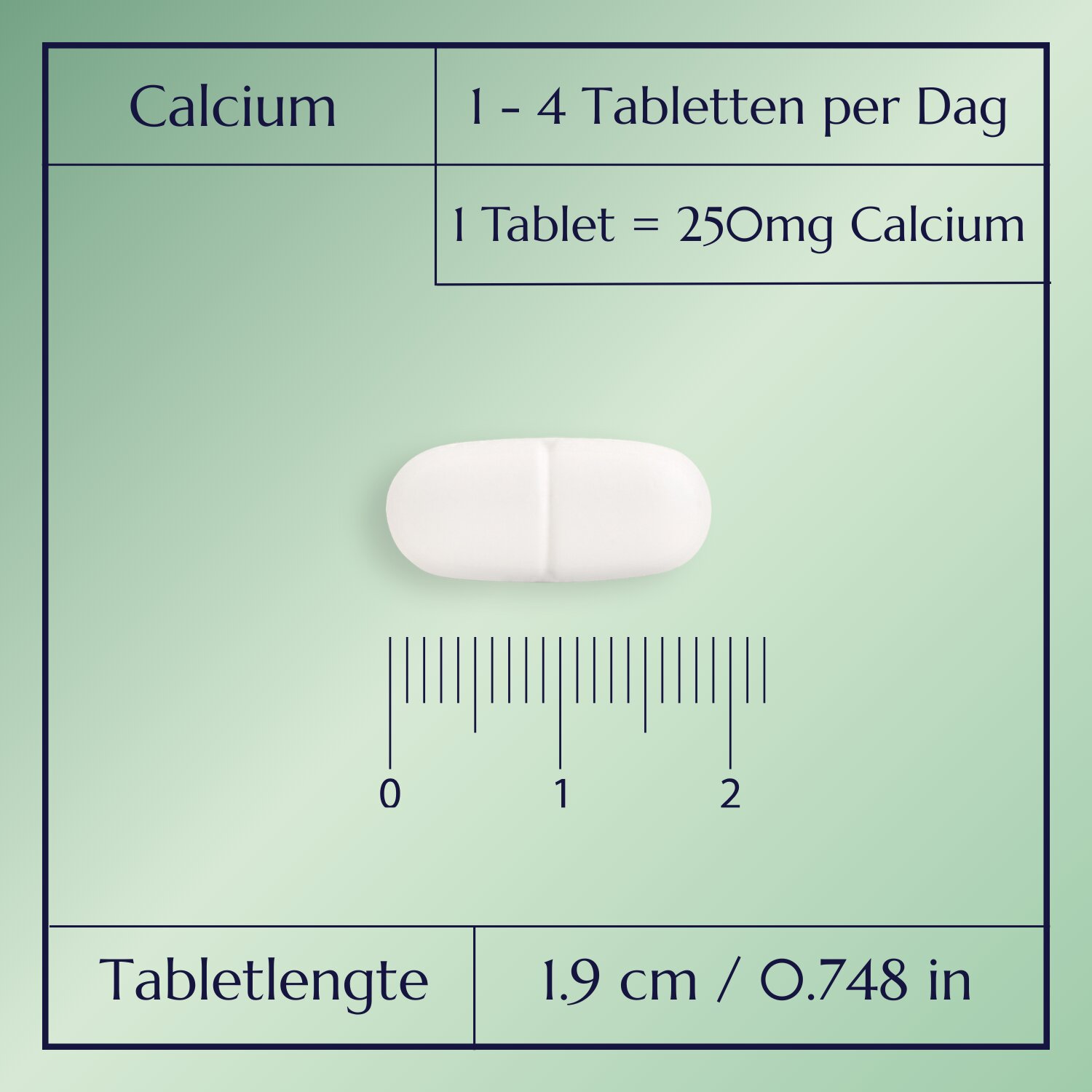 Calcium Plus_3