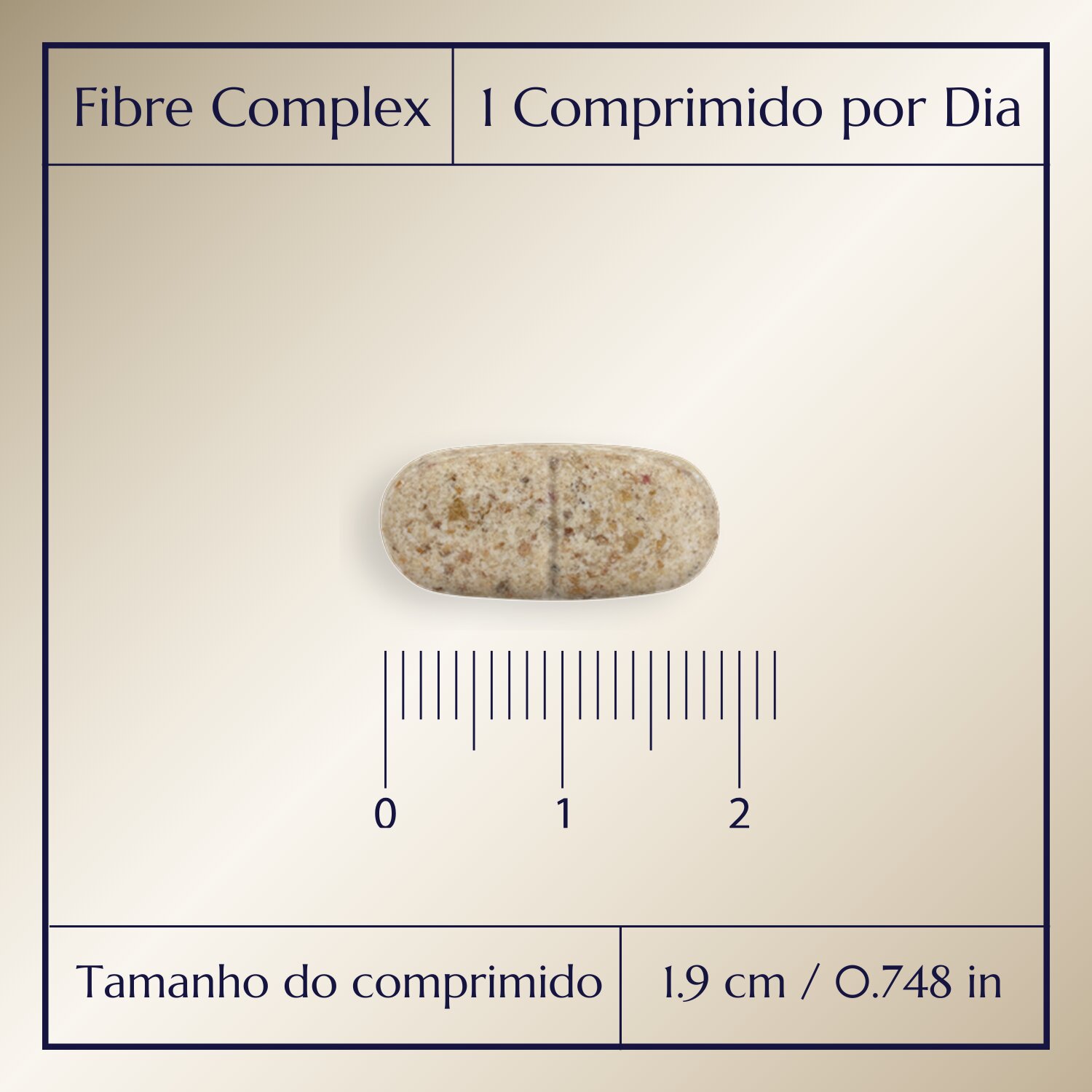 Complexo de Fibras_2