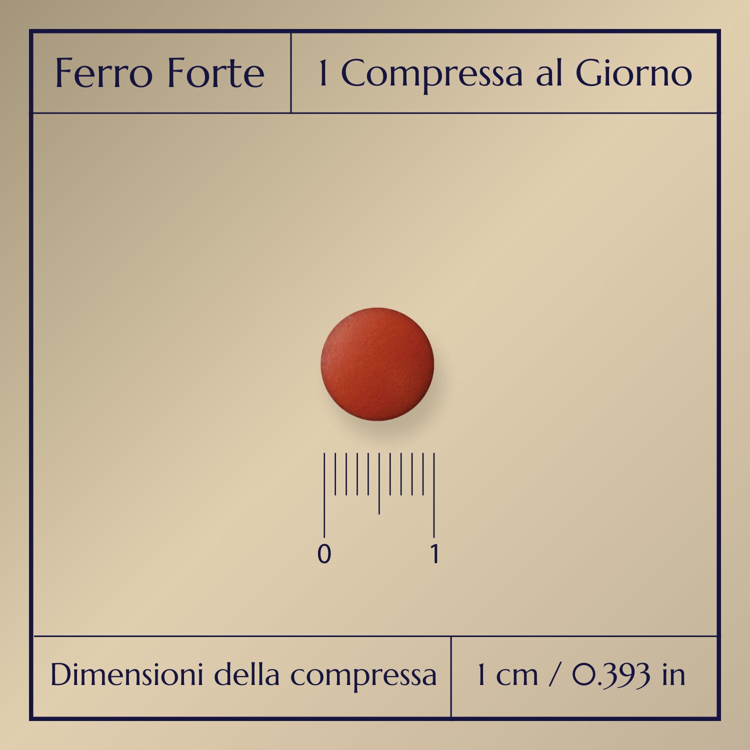 Ferro Forte_2