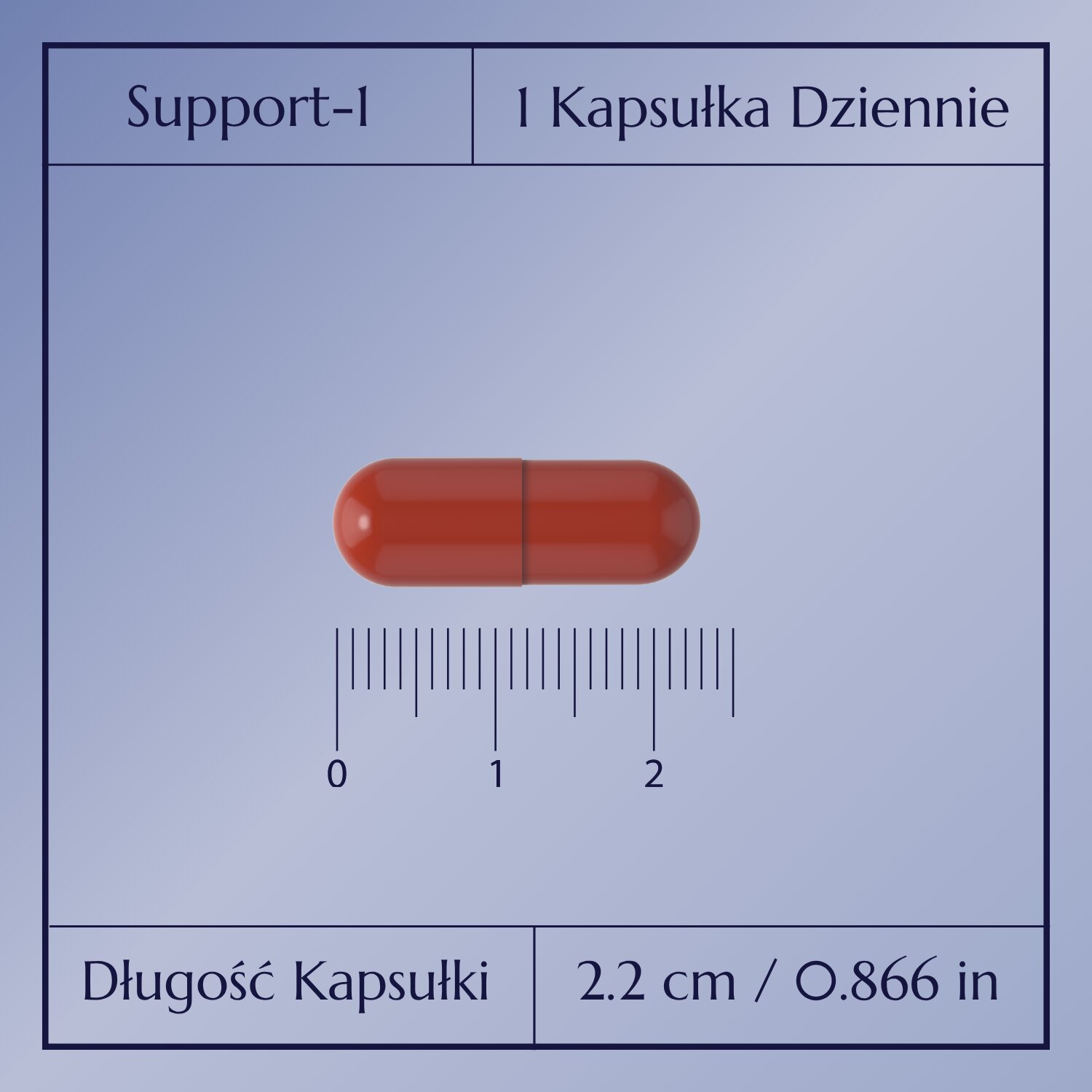 Support-1_3