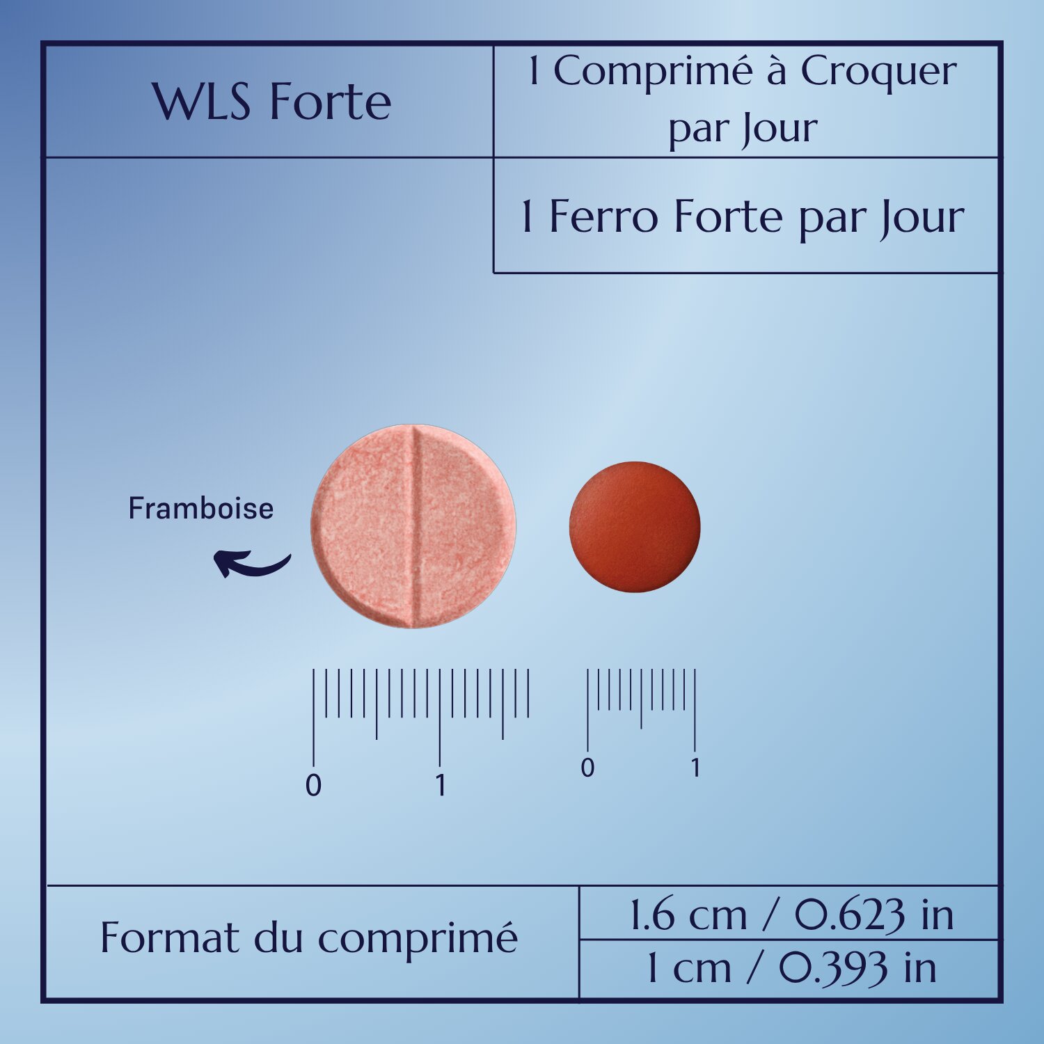 WLS Forte_6