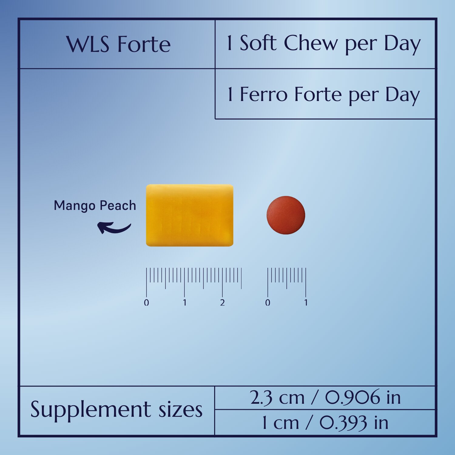 WLS Forte Multivitamin_10