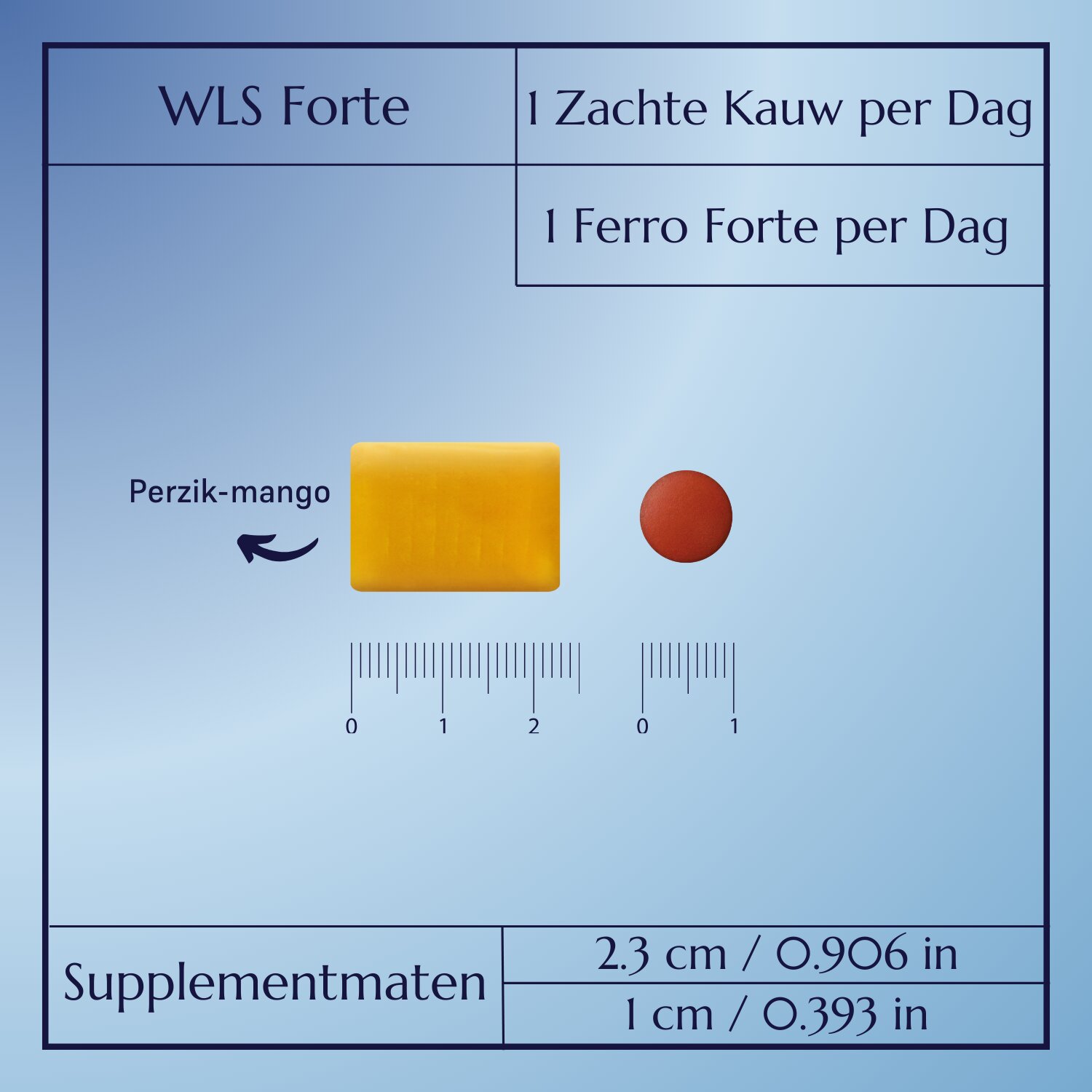 WLS Forte_10
