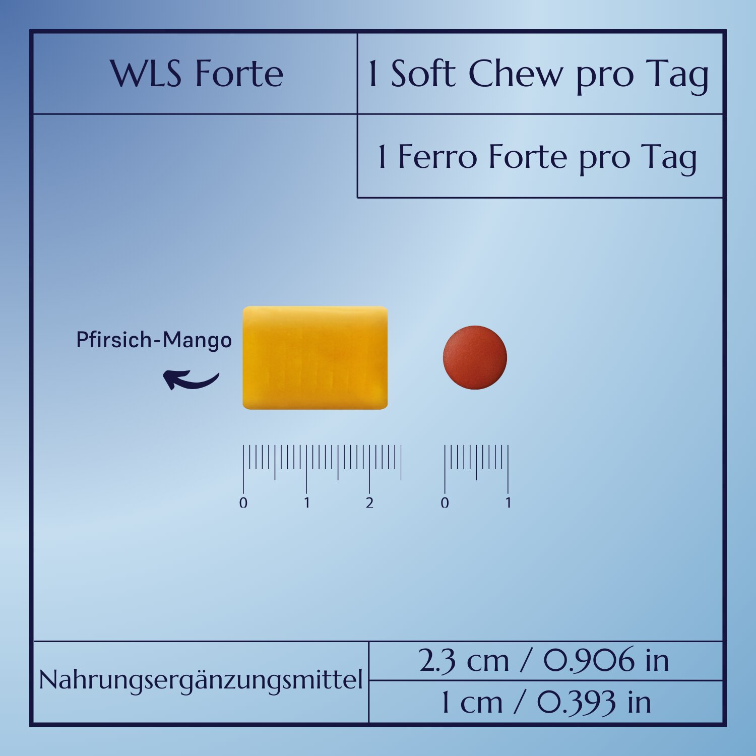 WLS Forte_10