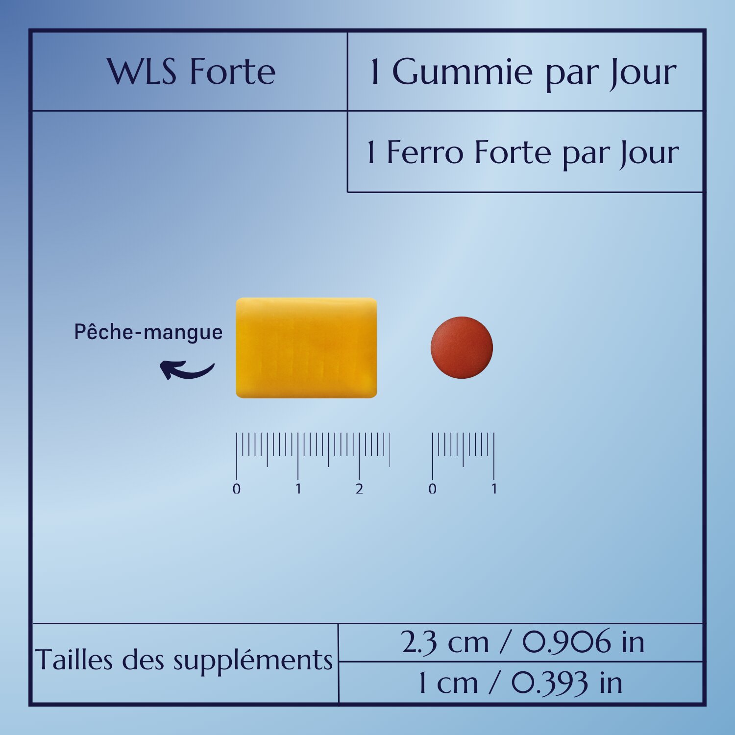 WLS Forte_10