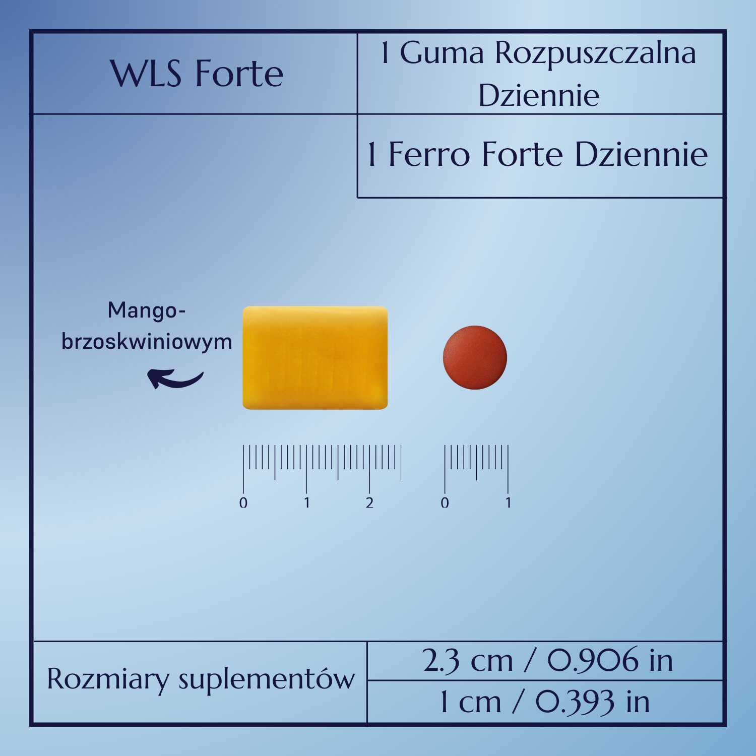 WLS Forte_10