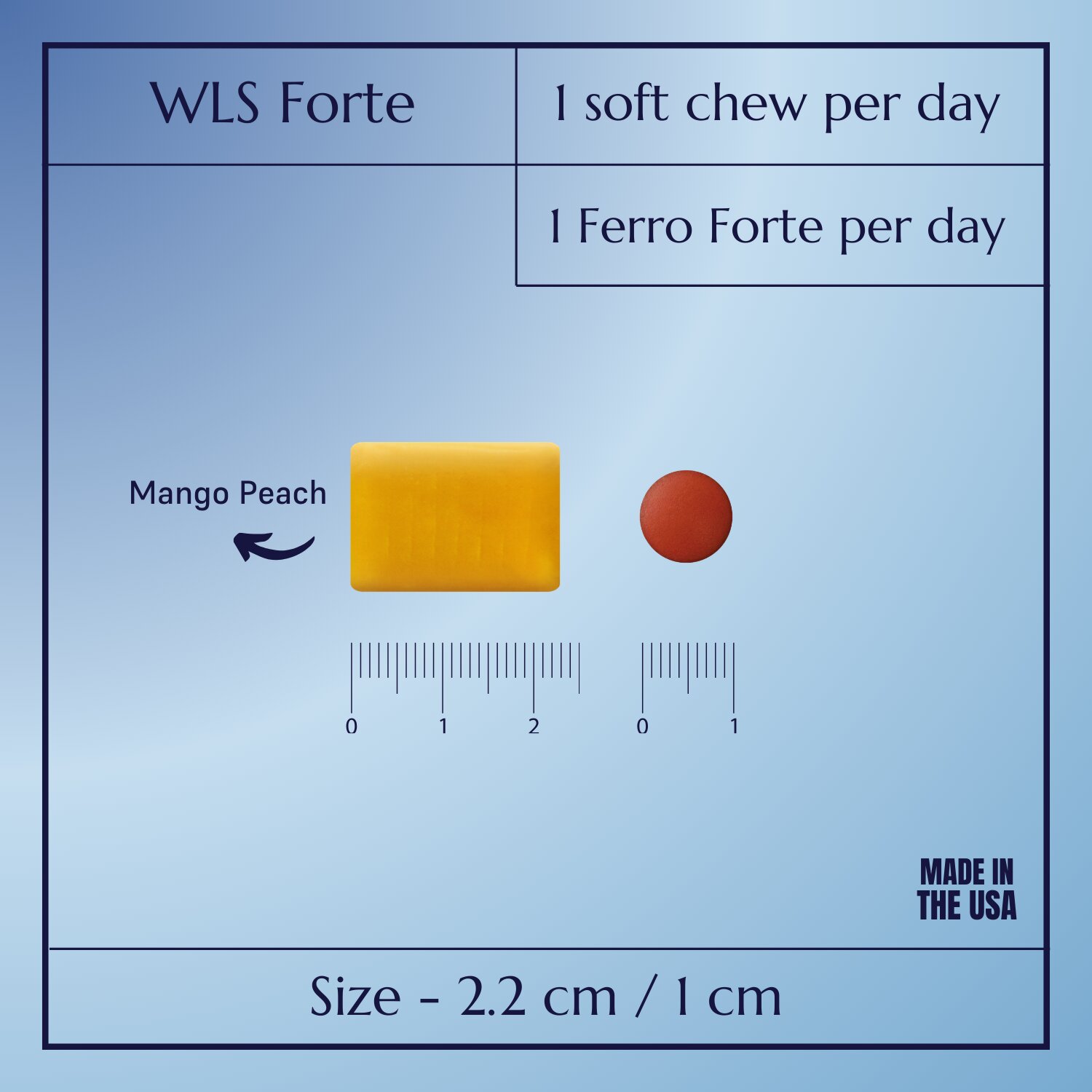 WLS Forte_5