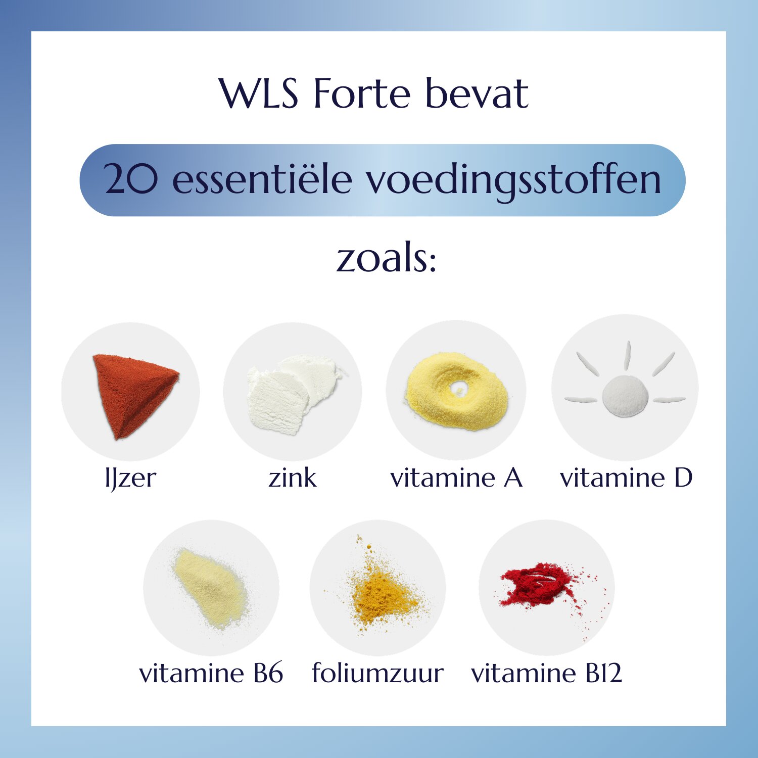 WLS Forte_2