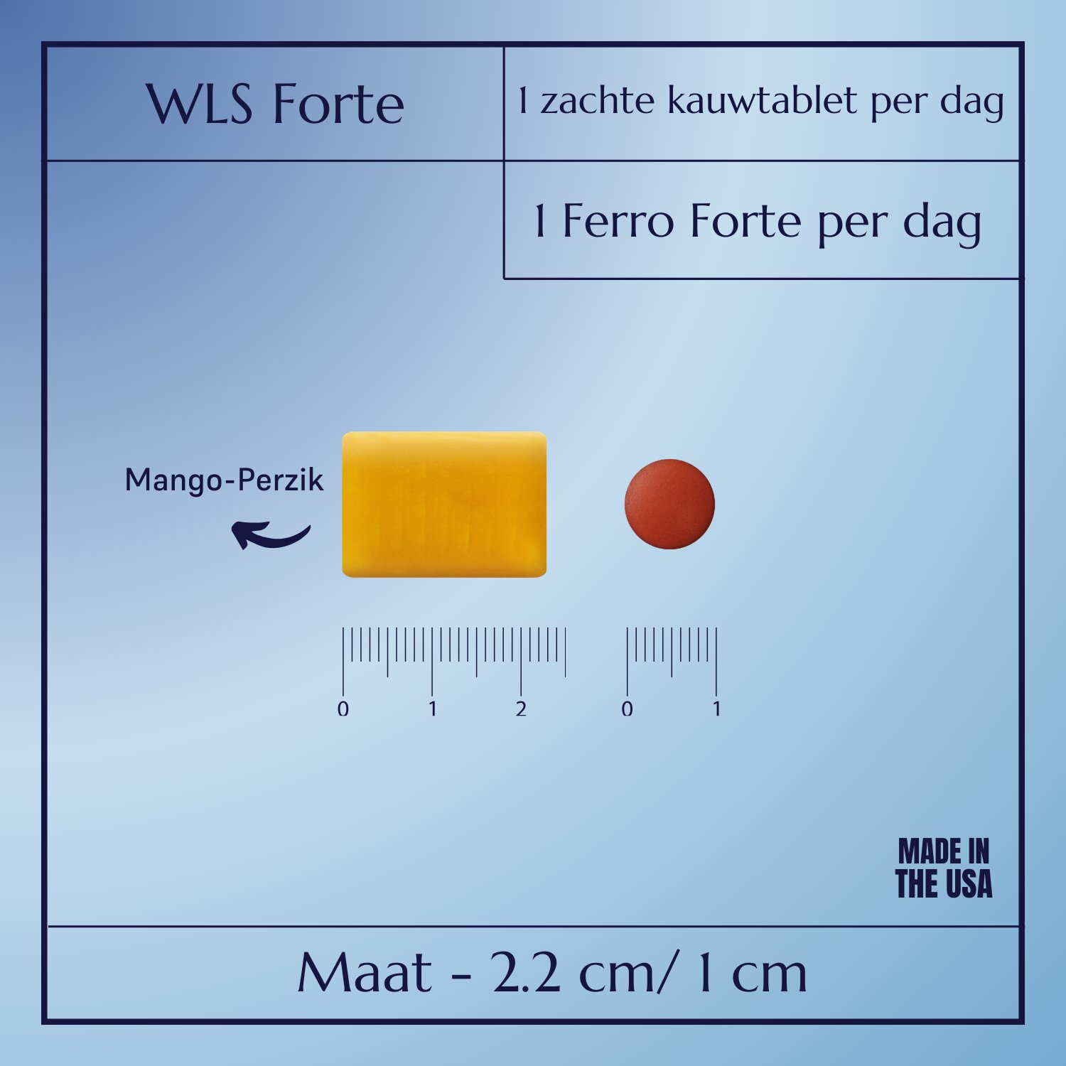WLS Forte_5