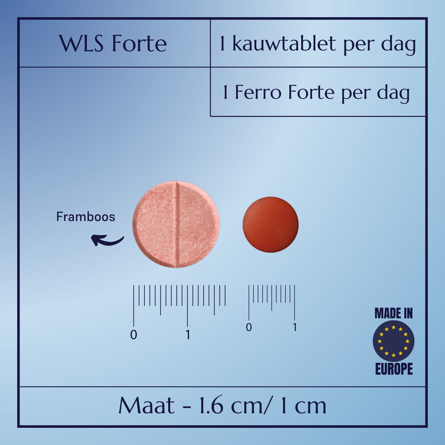 WLS Forte_6
