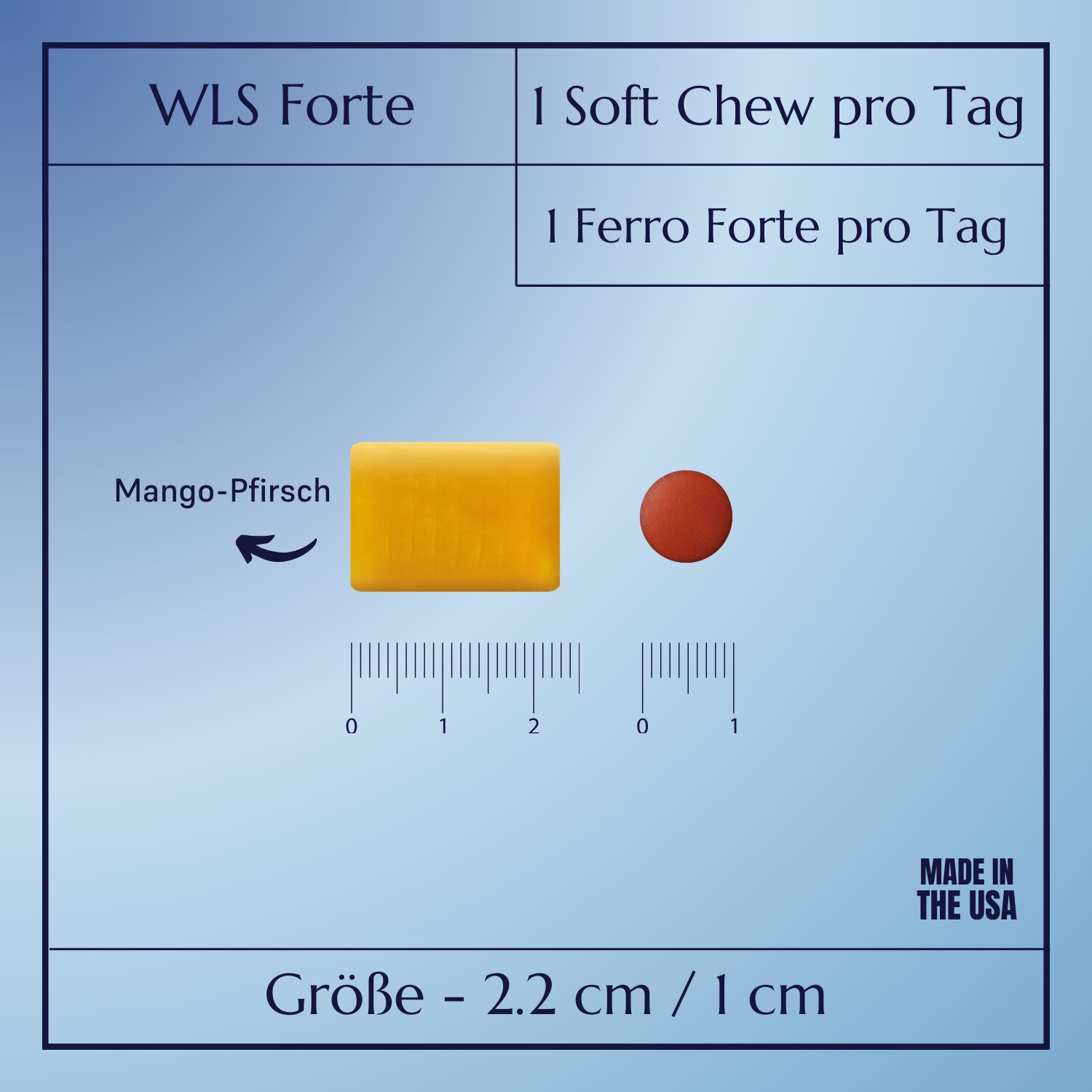 WLS Forte_5