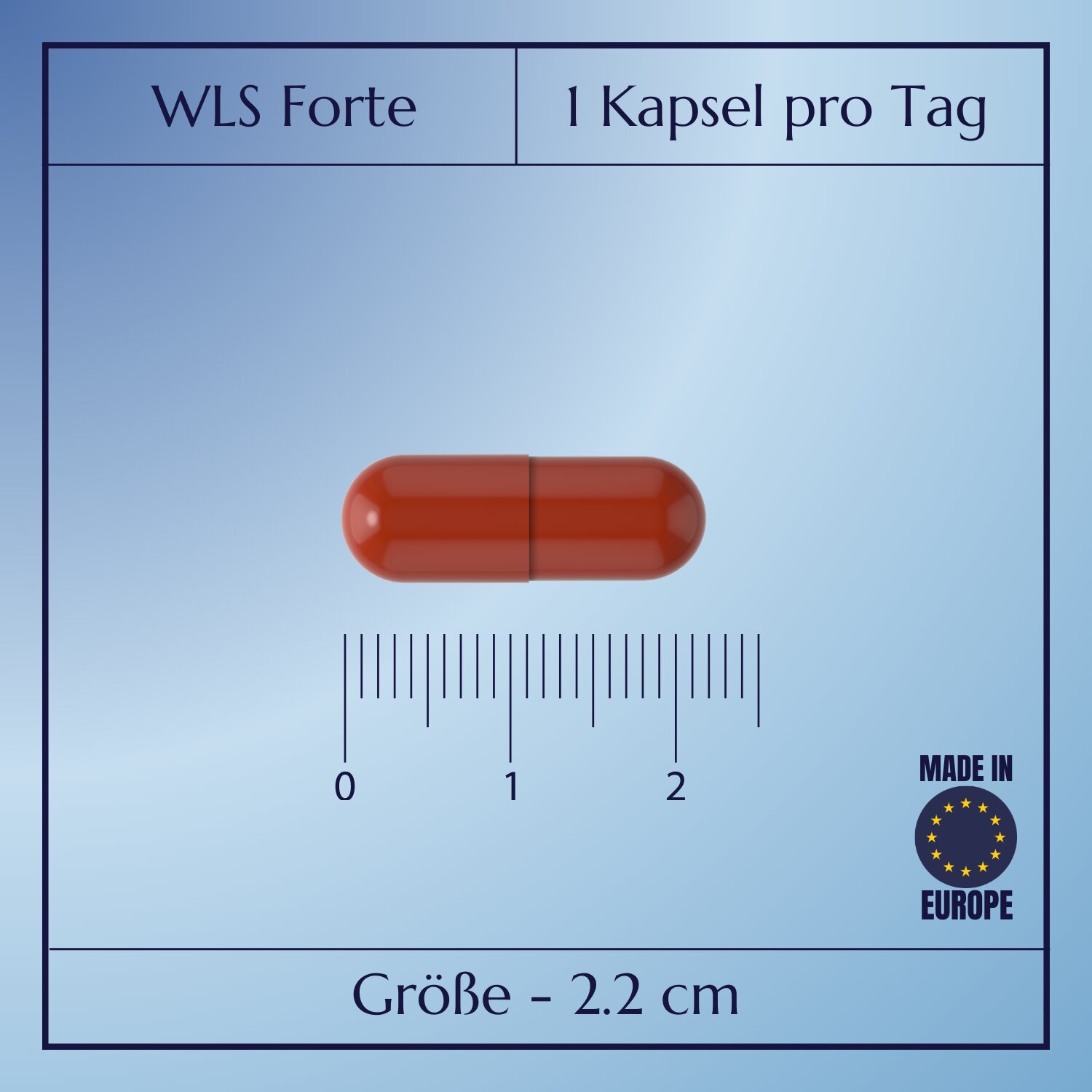 WLS Forte_7
