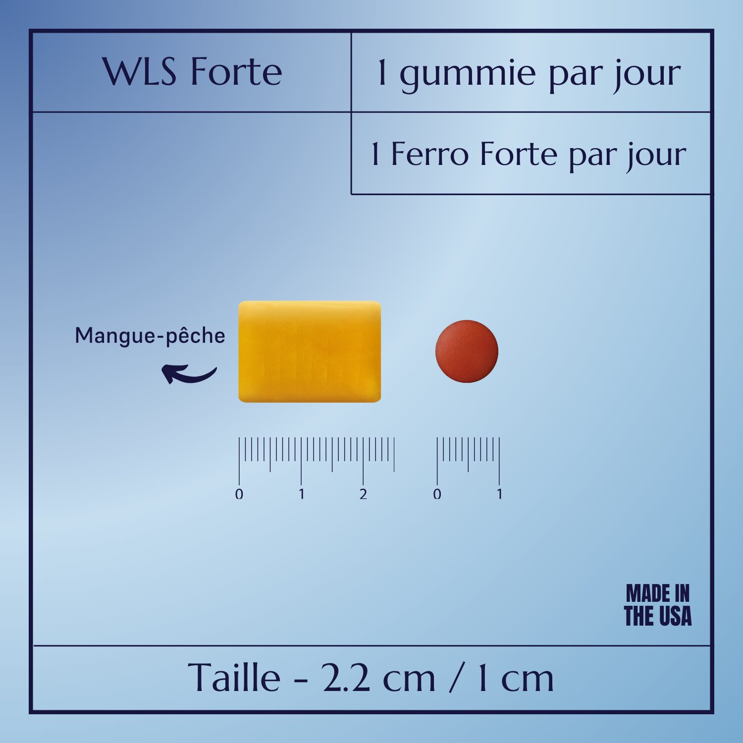 WLS Forte_5