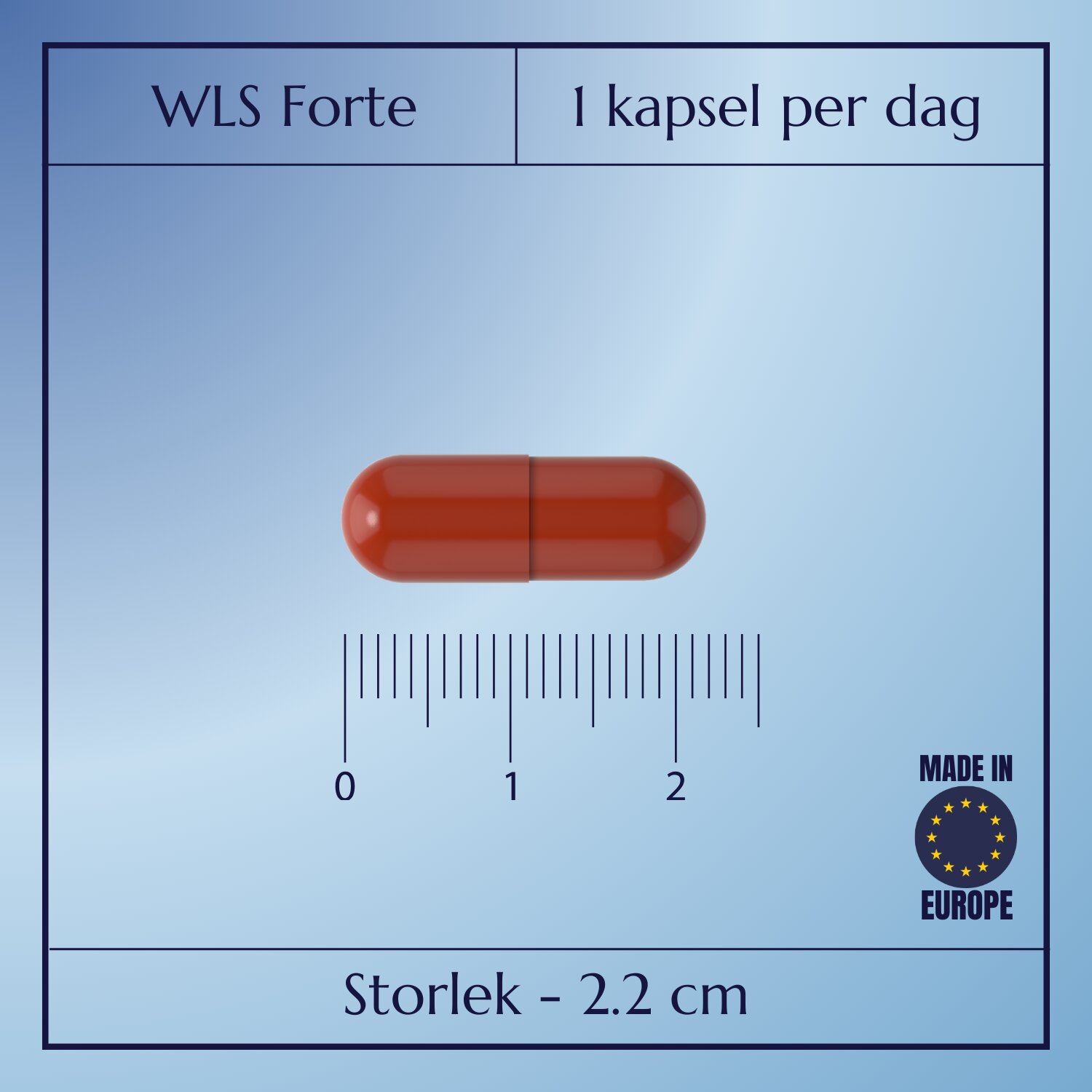 WLS Forte_7