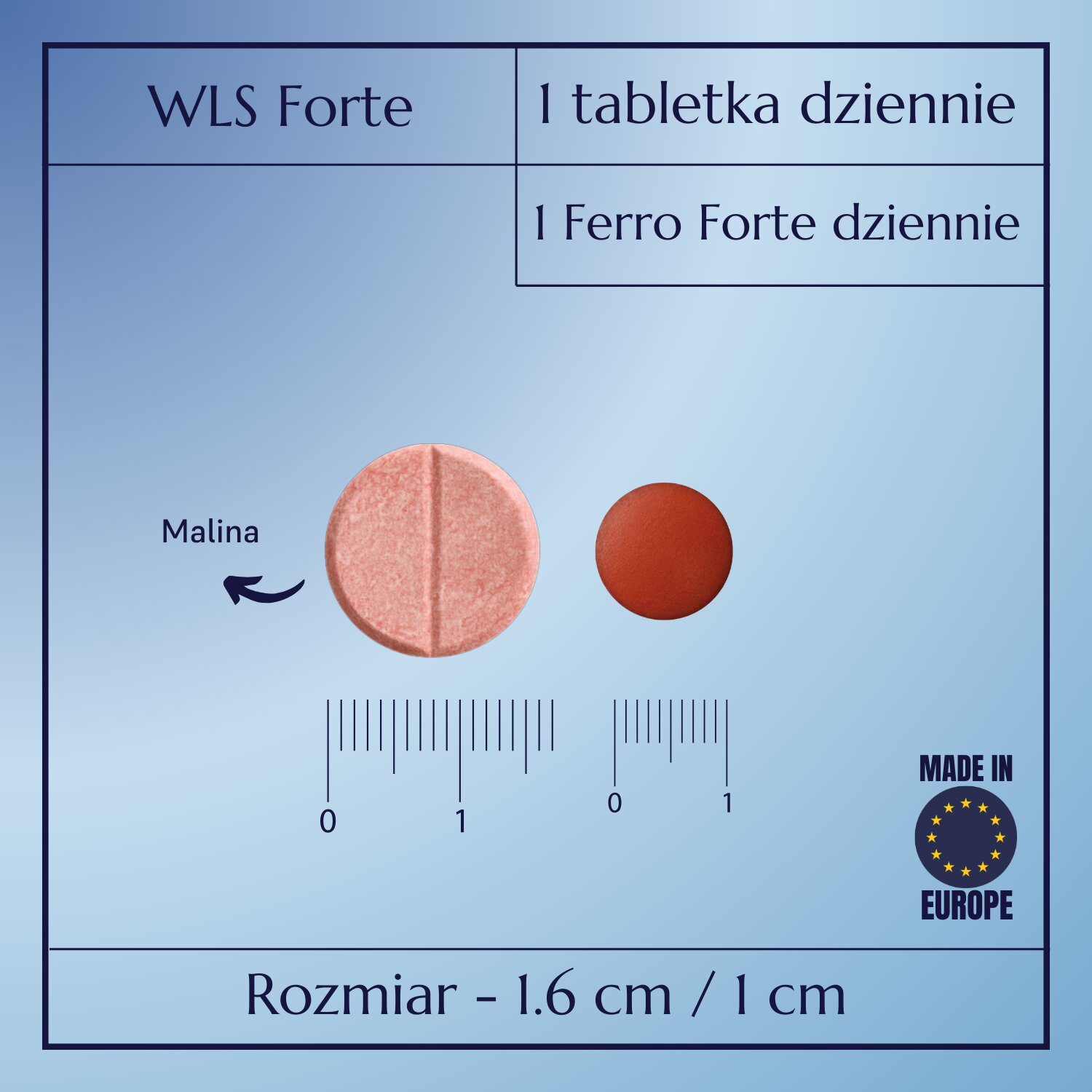 WLS Forte_2