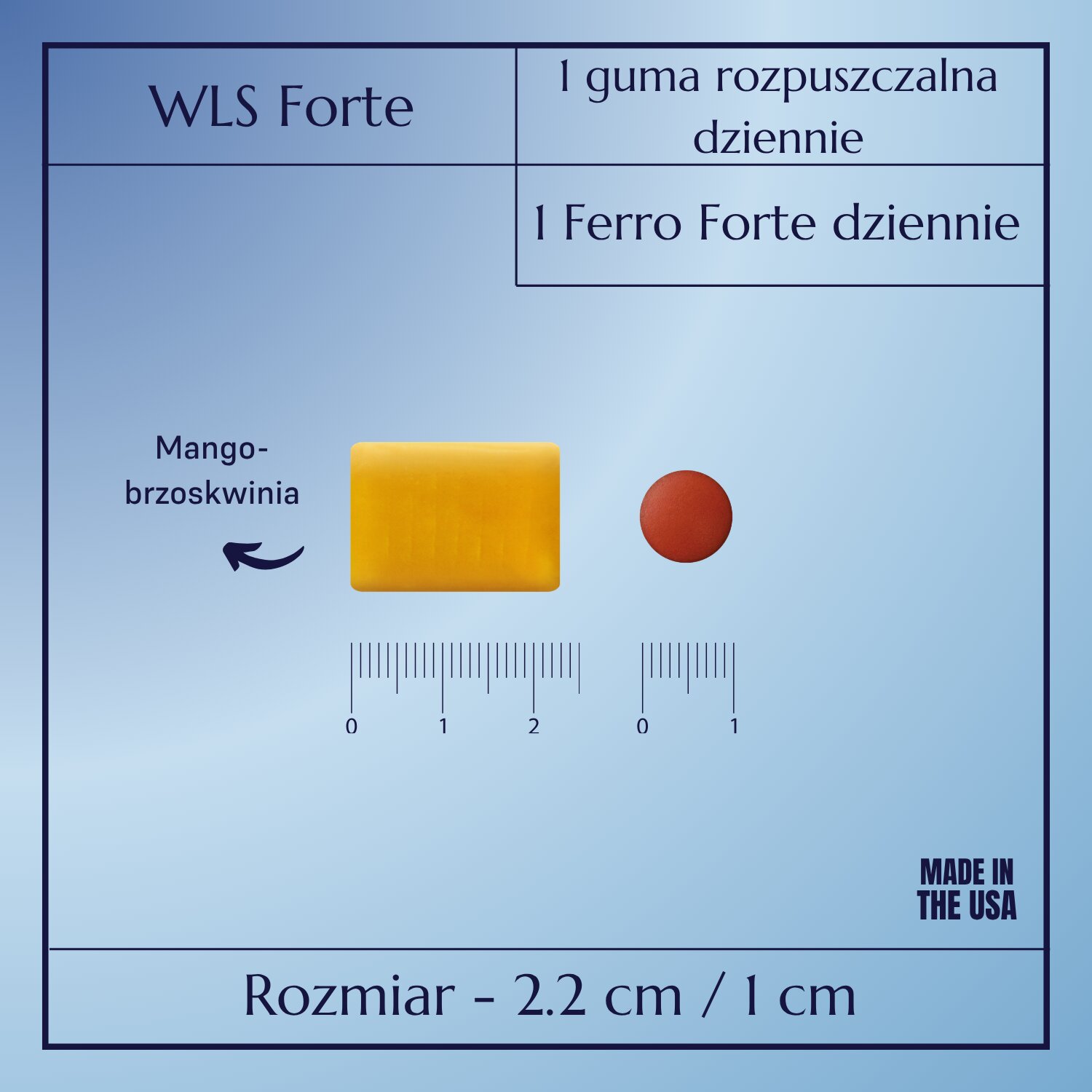 WLS Forte_7