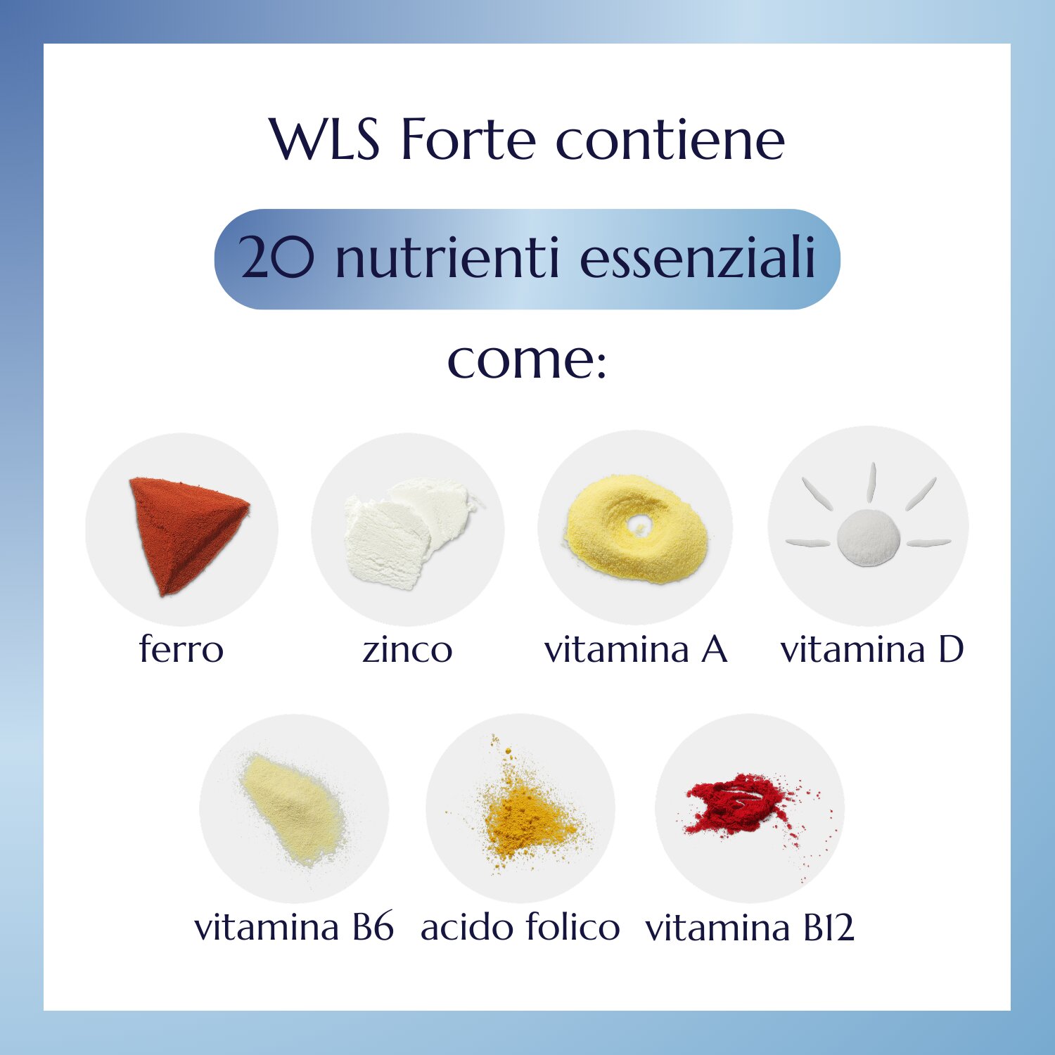 WLS Forte_2