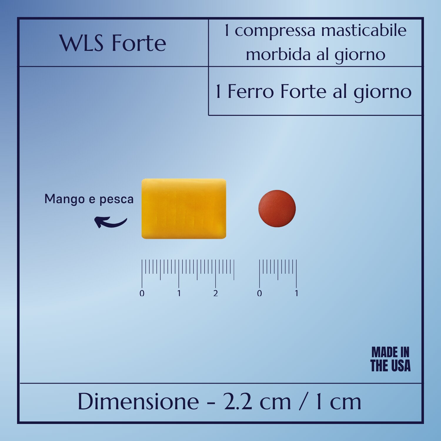 WLS Forte_7