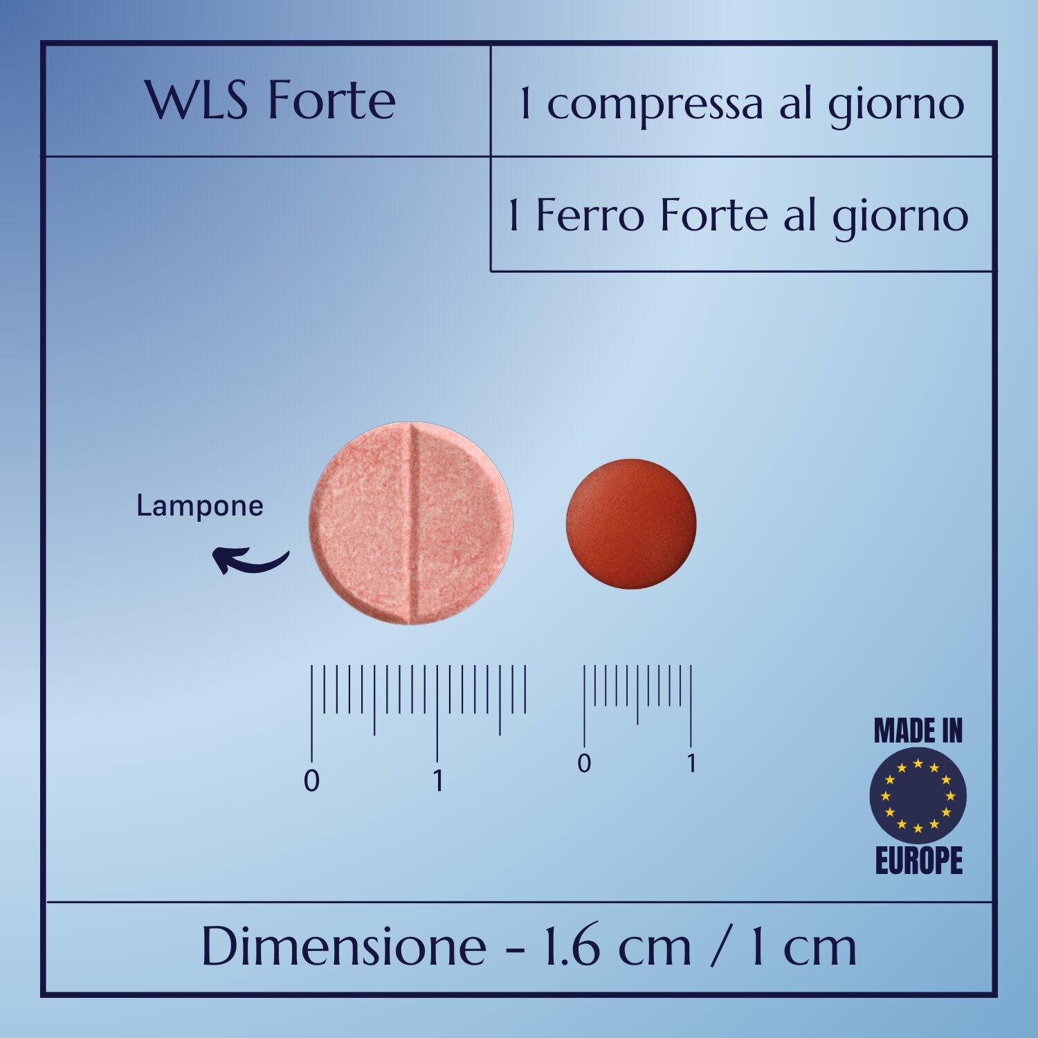 WLS Forte_6