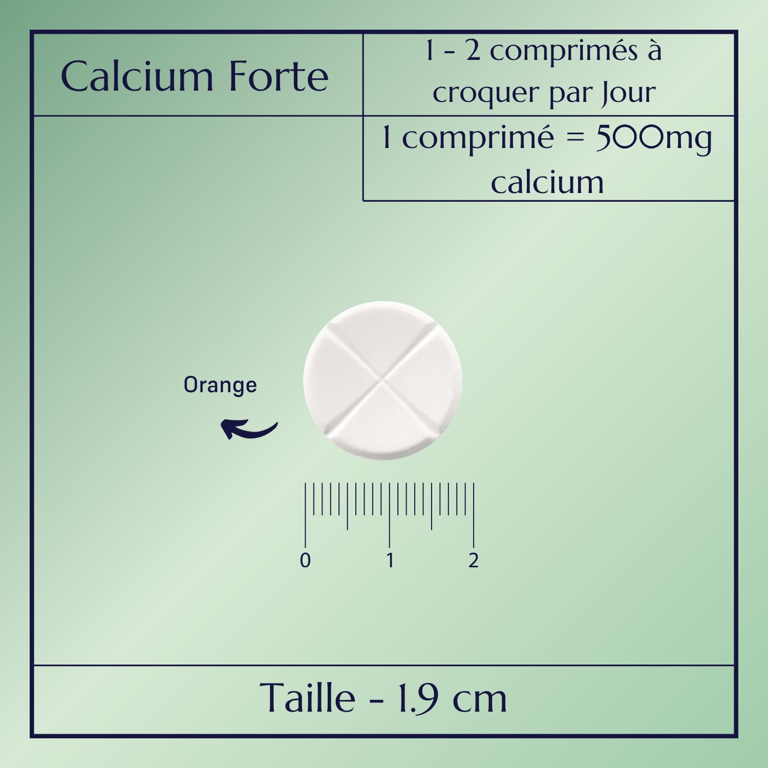 Calcium Forte_2