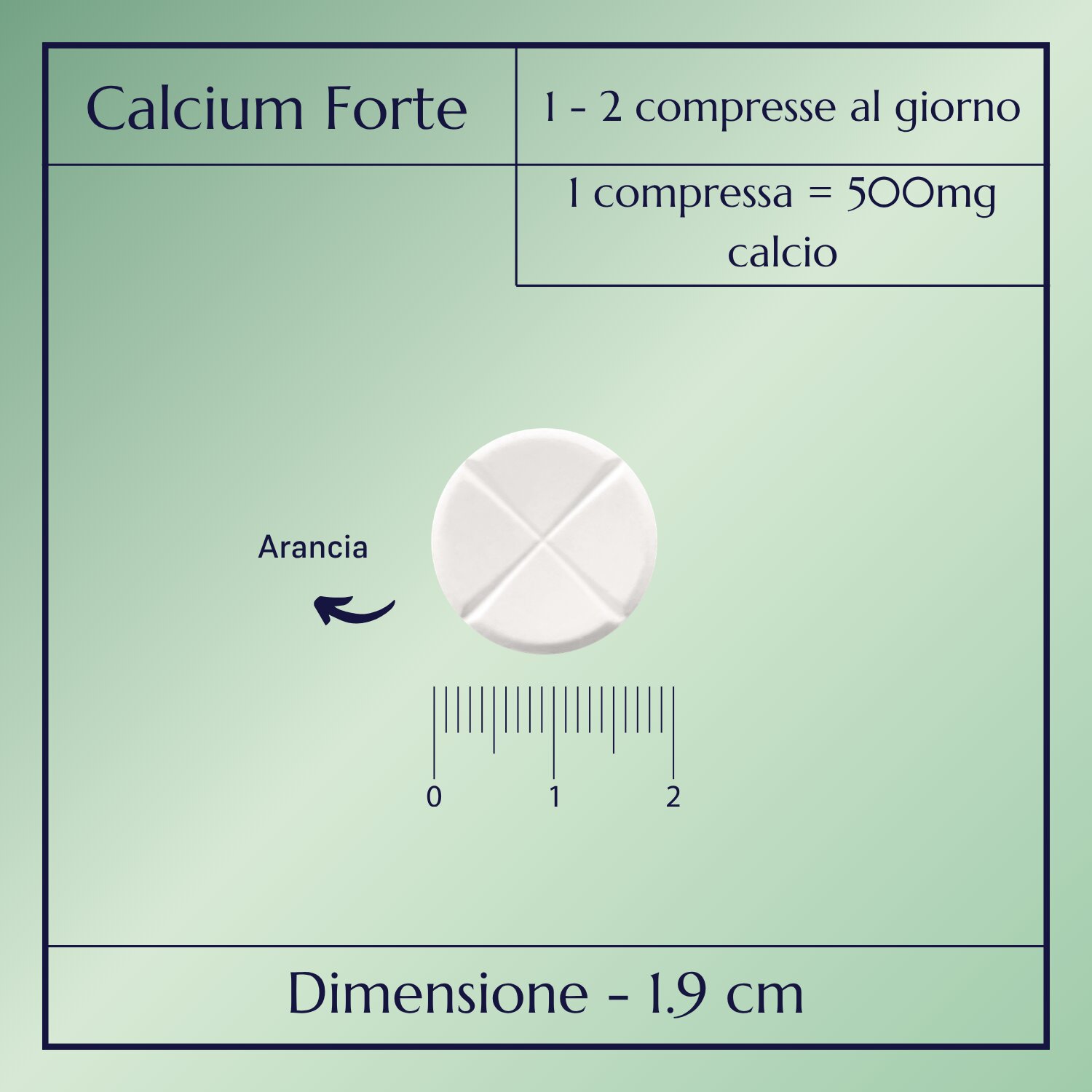 Calcium Forte_2