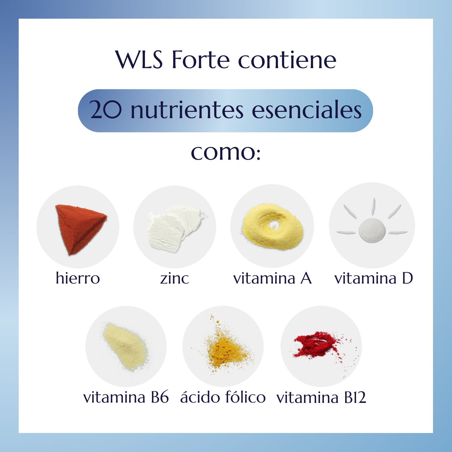 WLS Forte_2