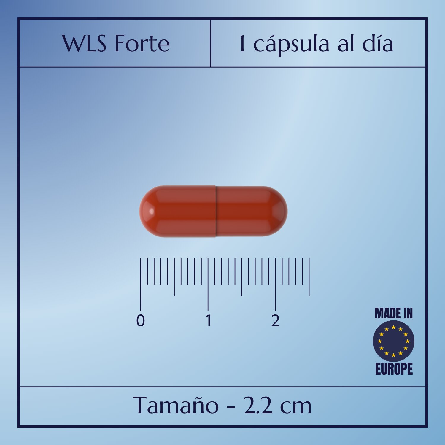 WLS Forte_5