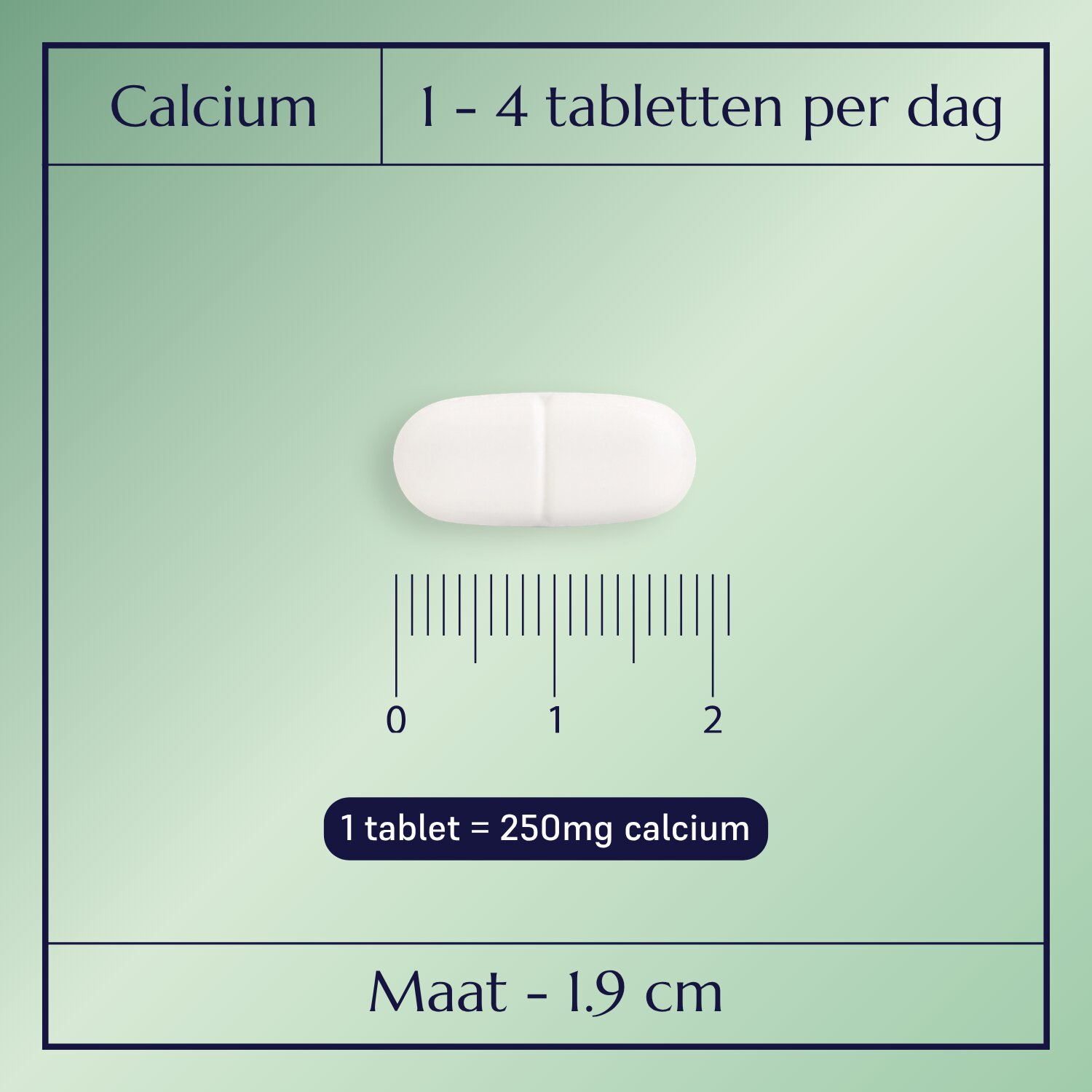 Calcium Plus_2