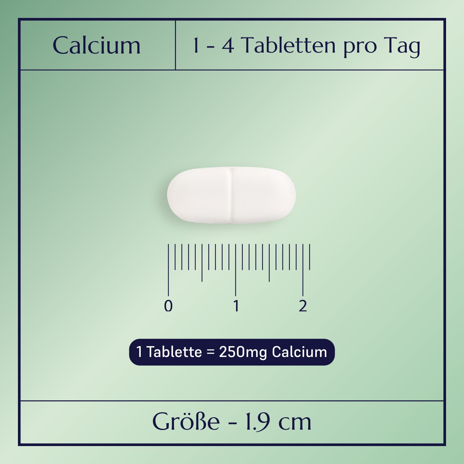 Calcium Plus_2