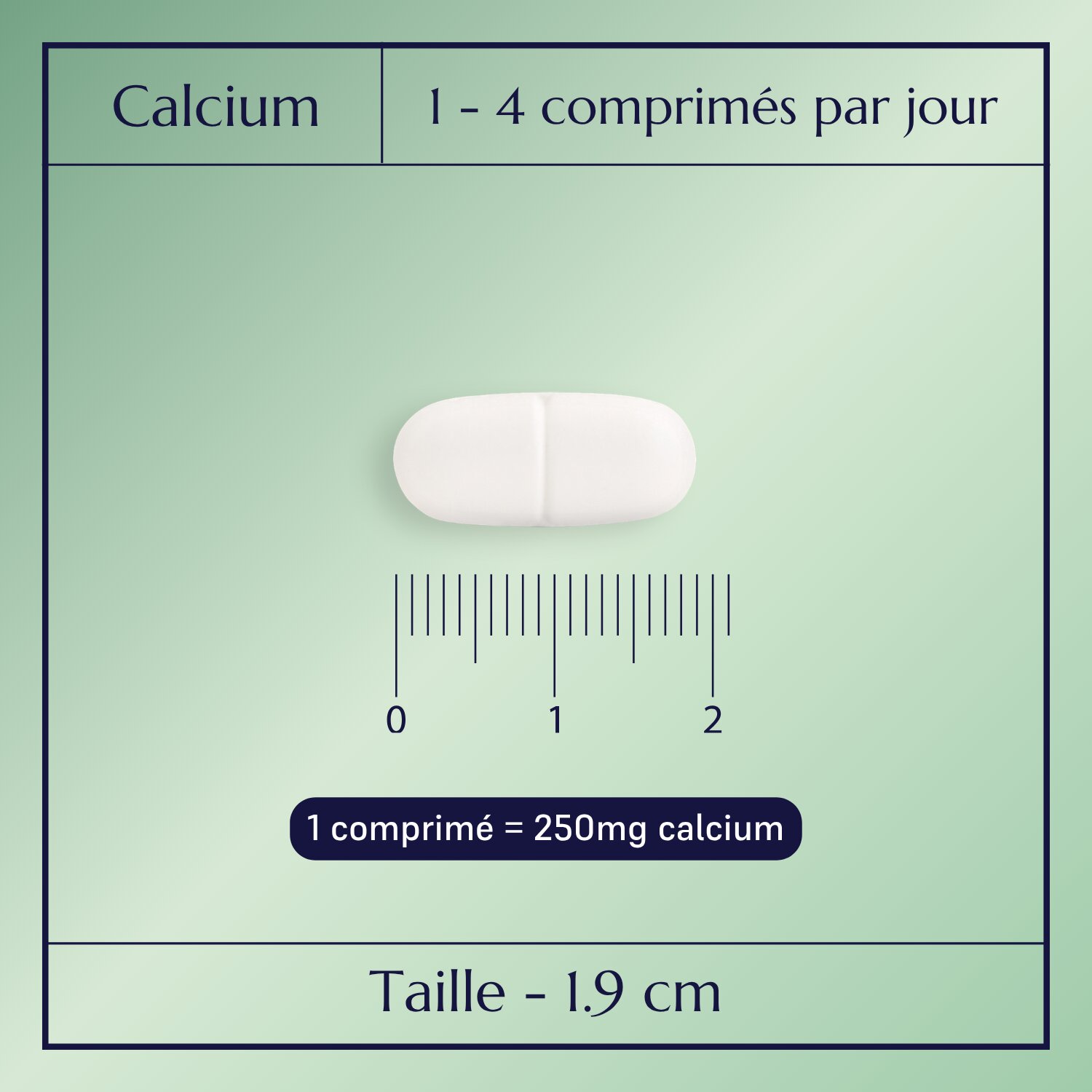 Calcium Plus_2