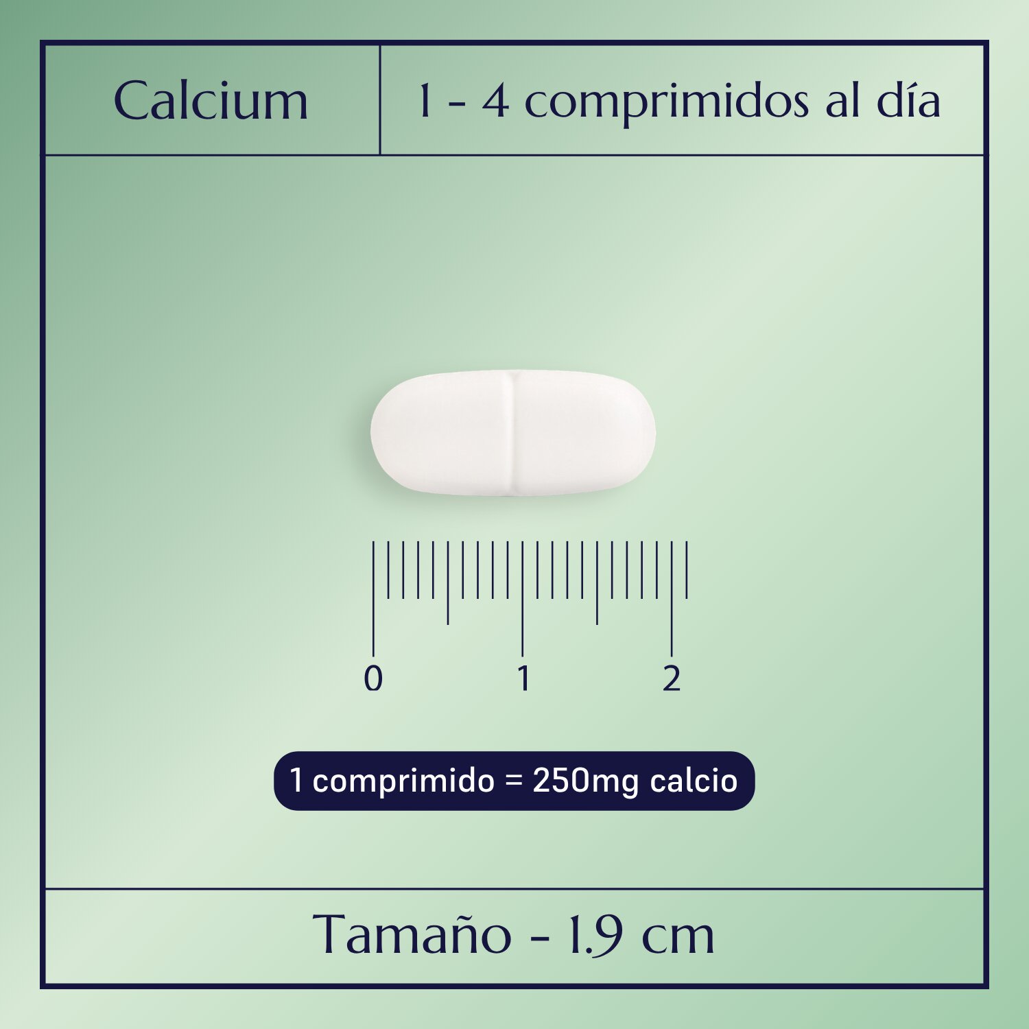 Calcium Plus_2