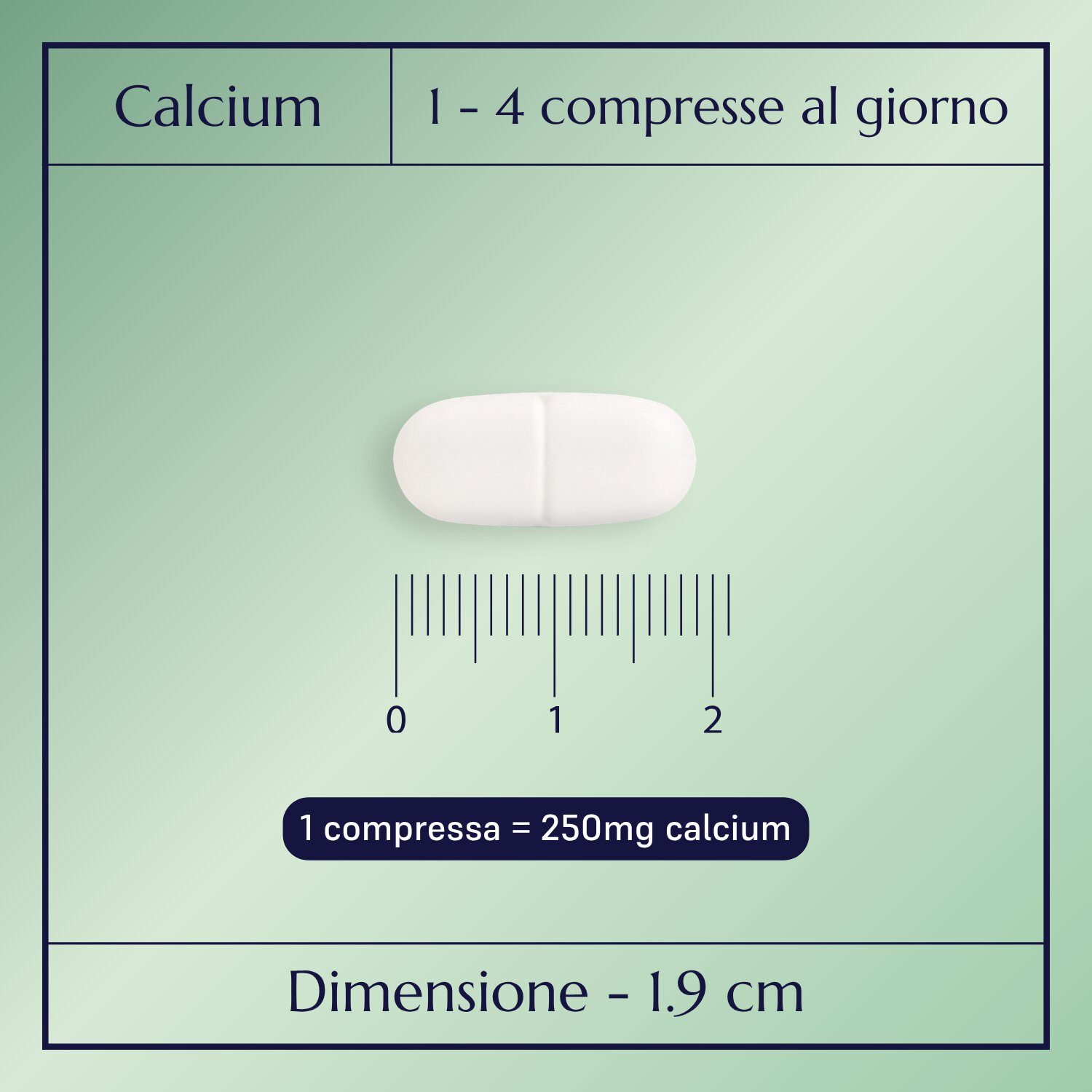Calcium Plus_2