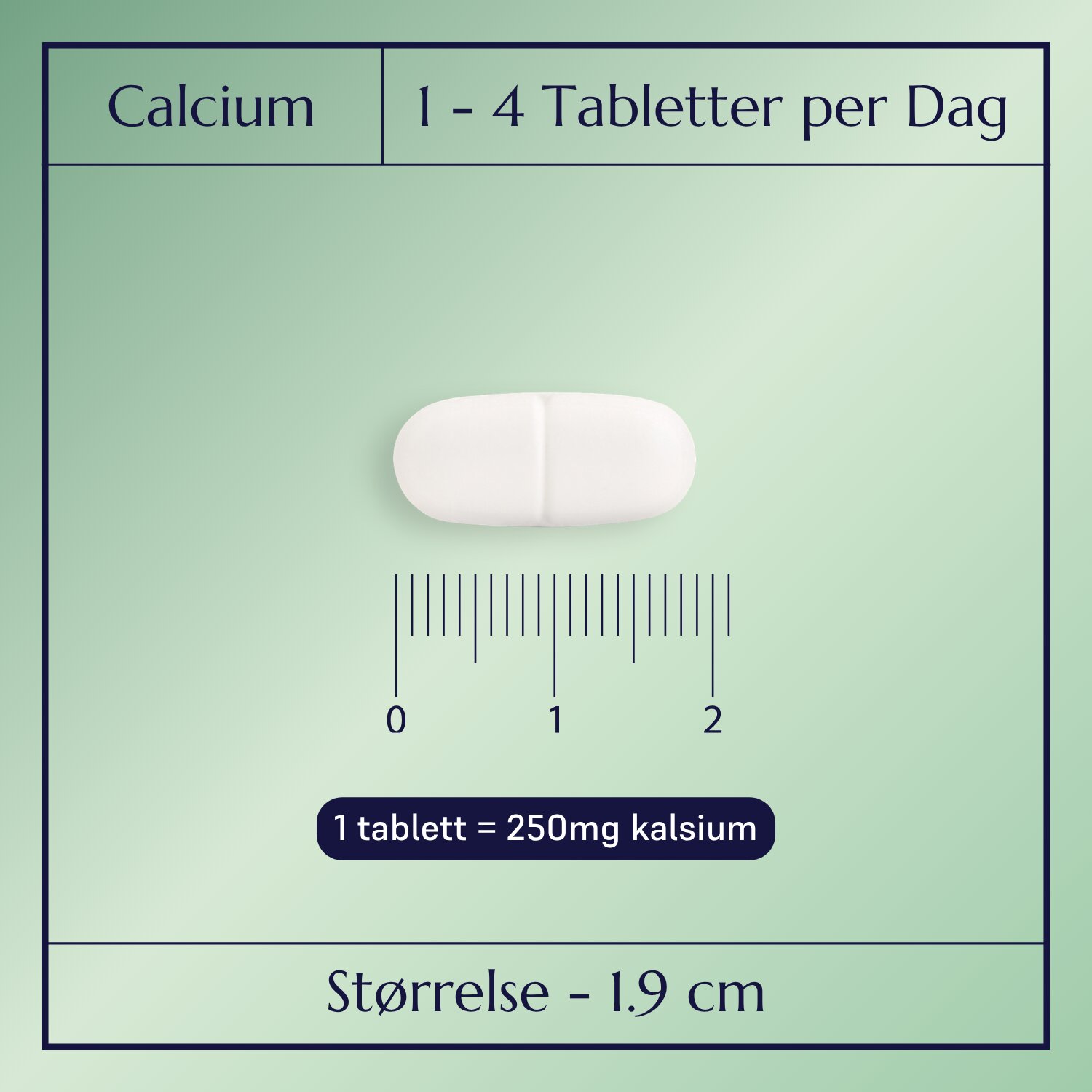 Calcium Plus_2