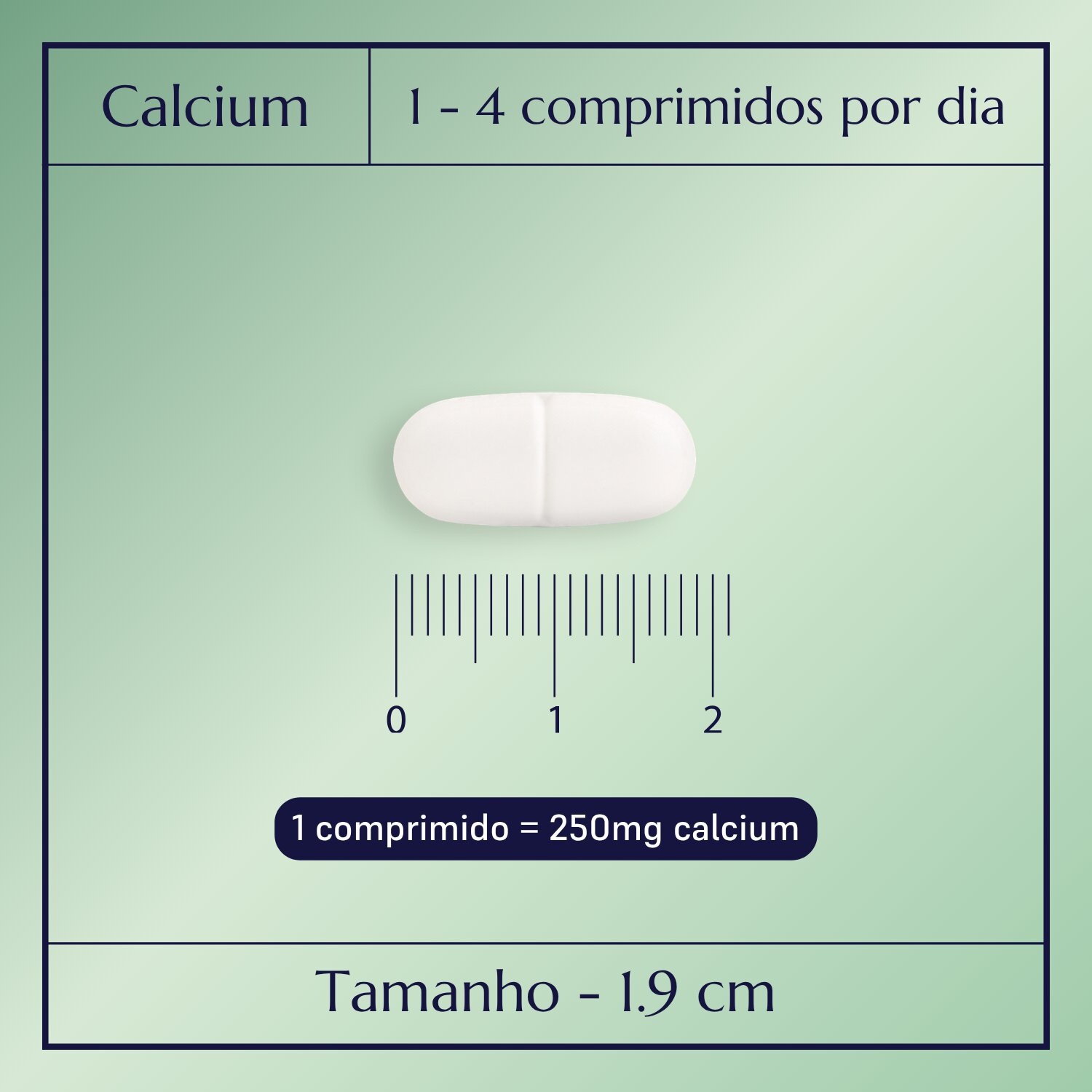 Calcium Plus_2
