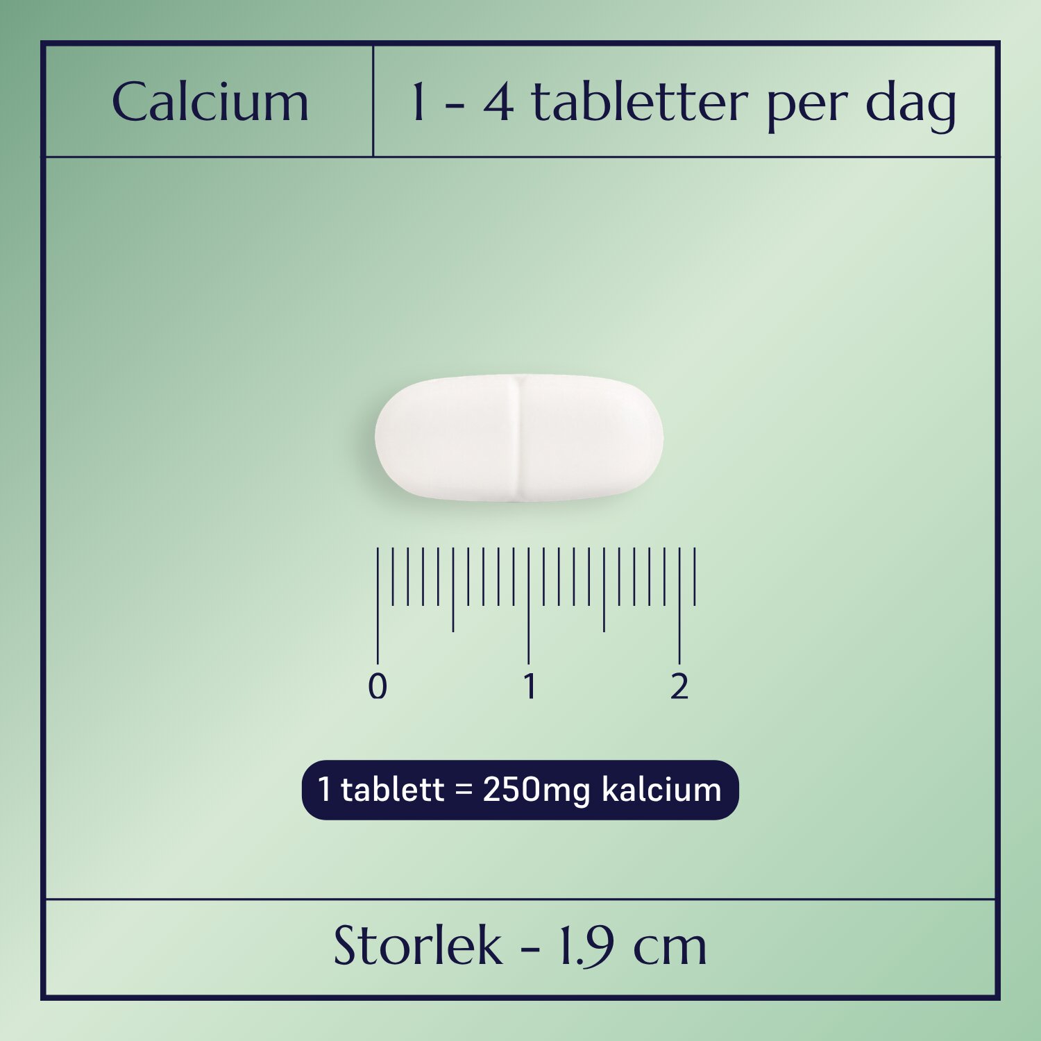 Calcium Plus_2